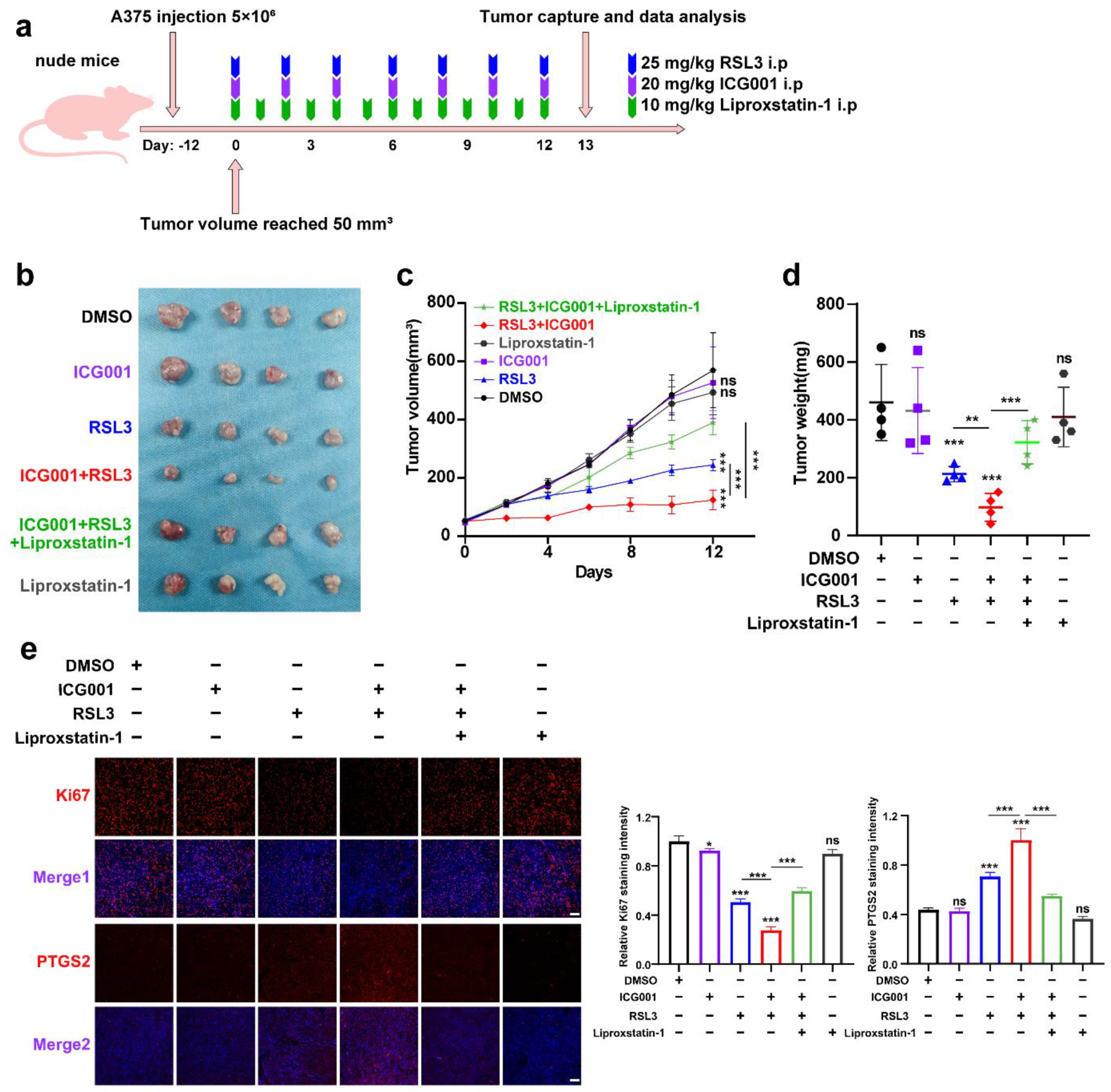 Cells 11 03580 g003 Cells 11 03580 g003