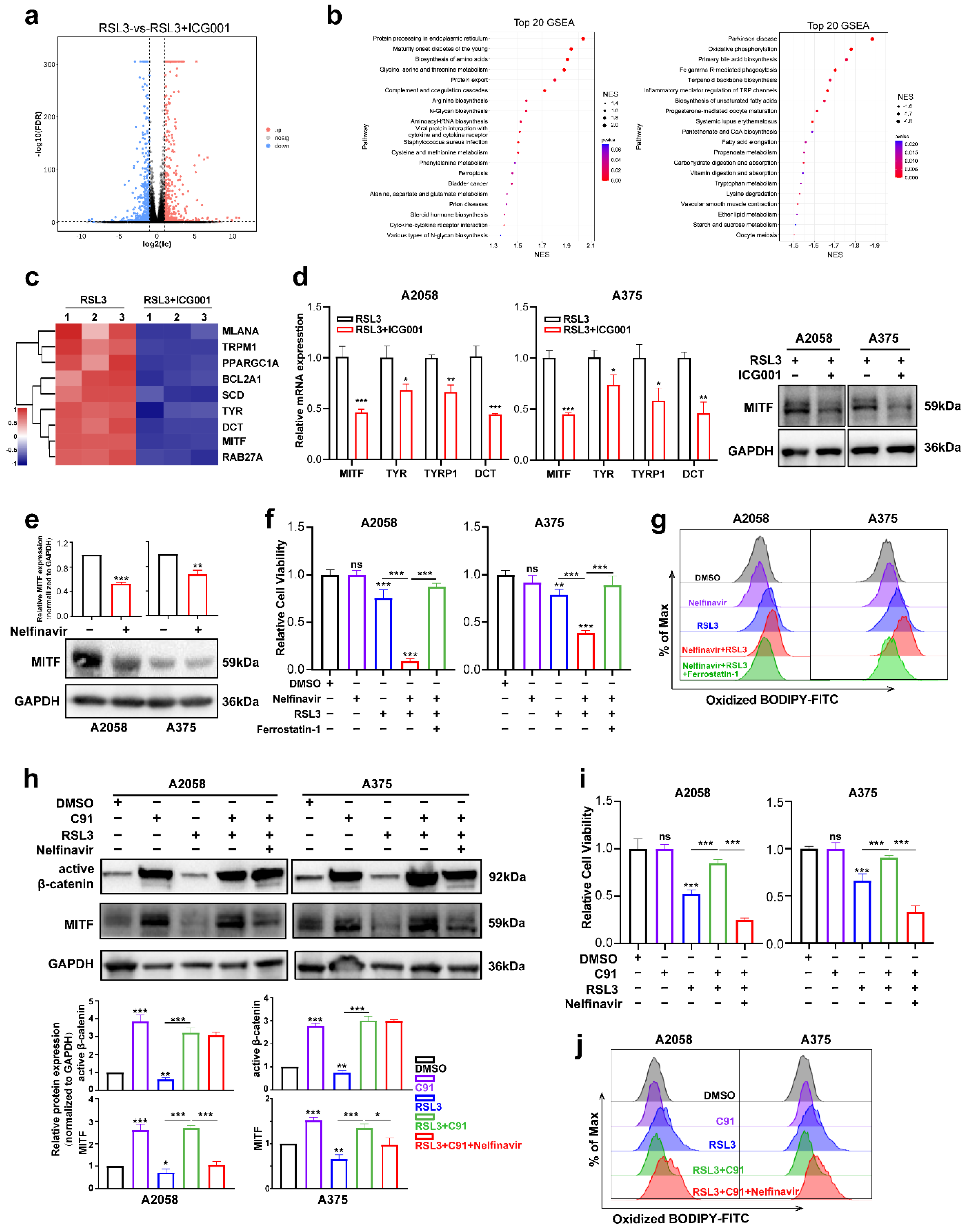 Cells 11 03580 g004 Cells 11 03580 g004