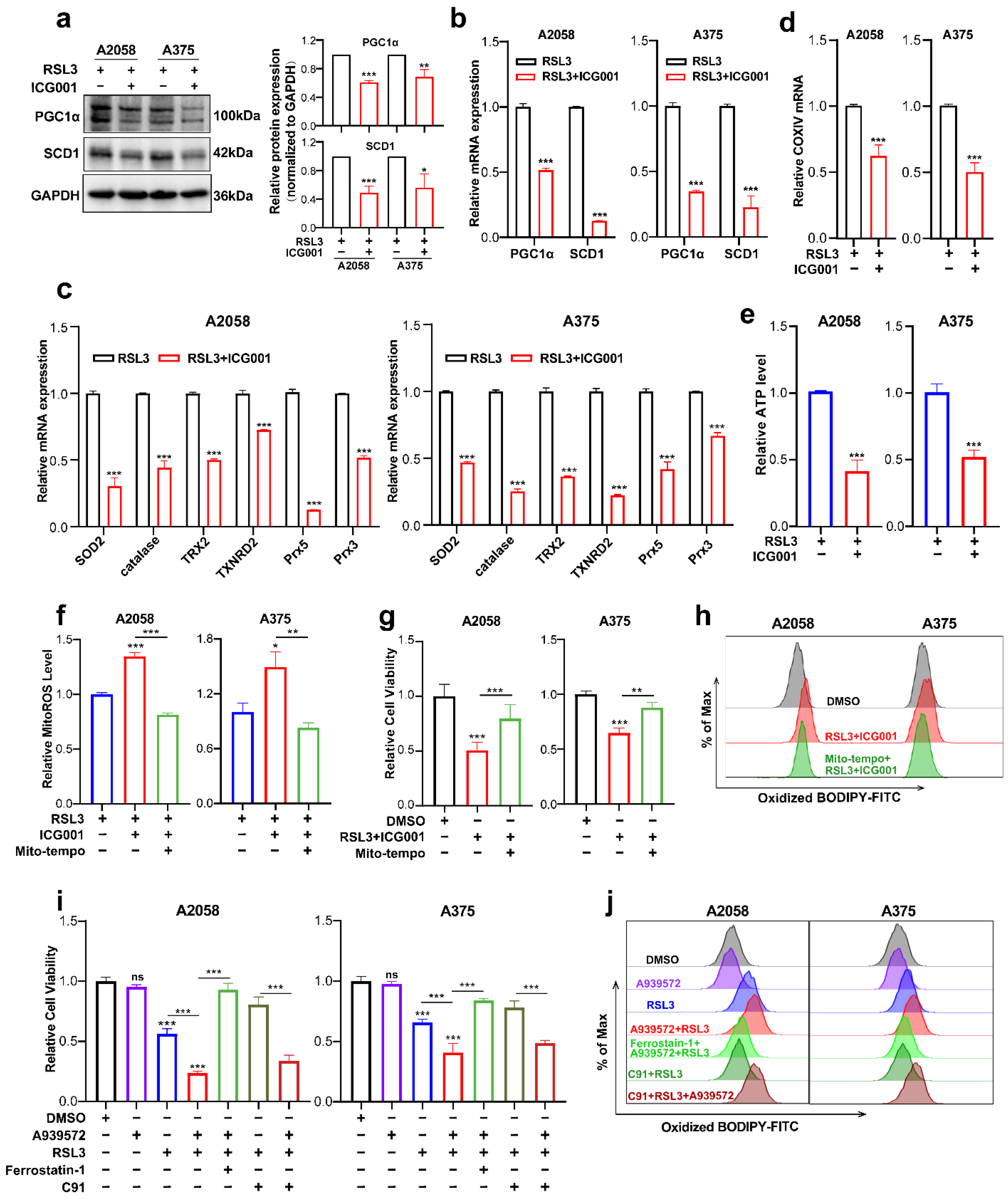 Cells 11 03580 g005 Cells 11 03580 g005