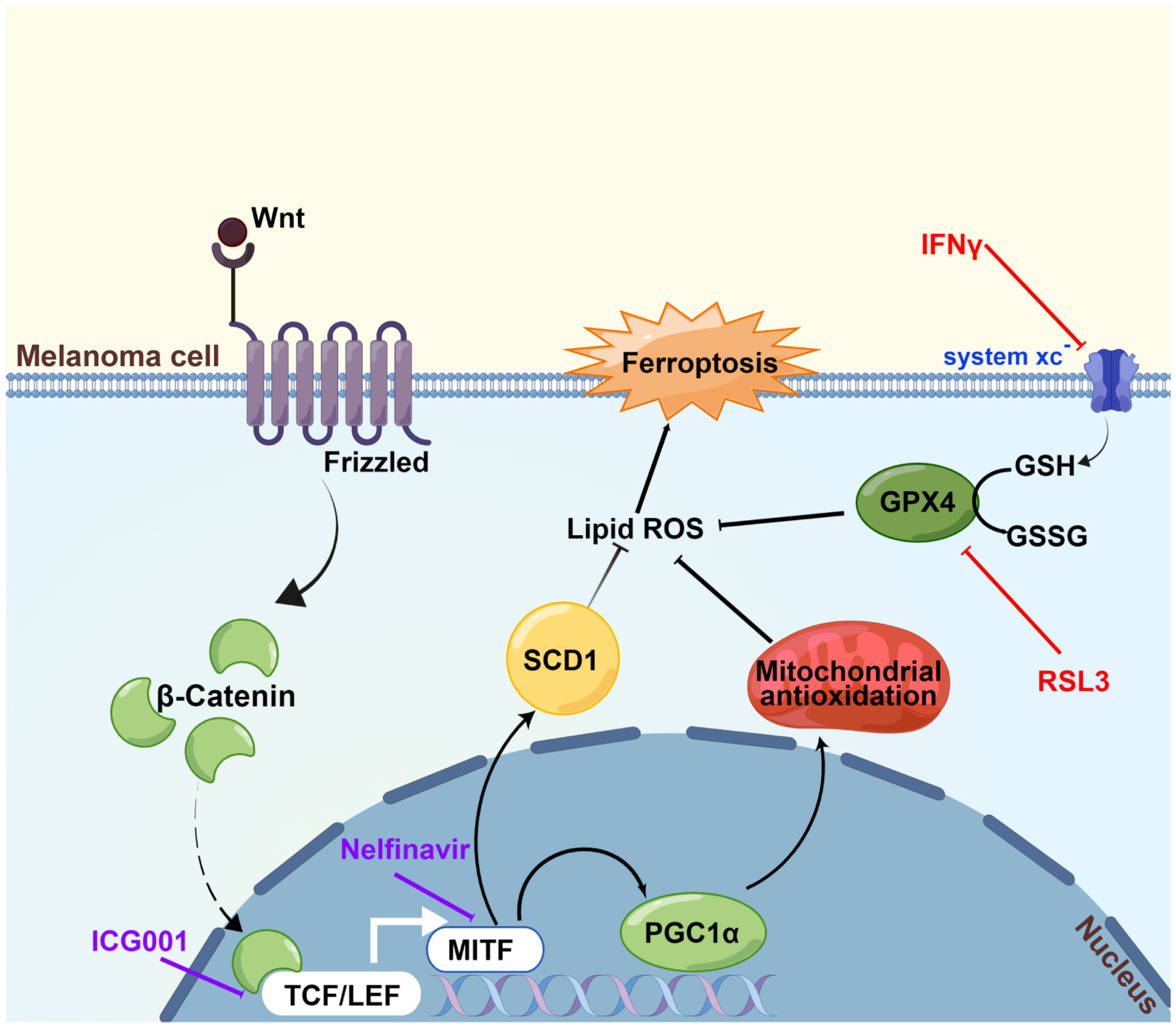 Cells 11 03580 g007 Cells 11 03580 g007
