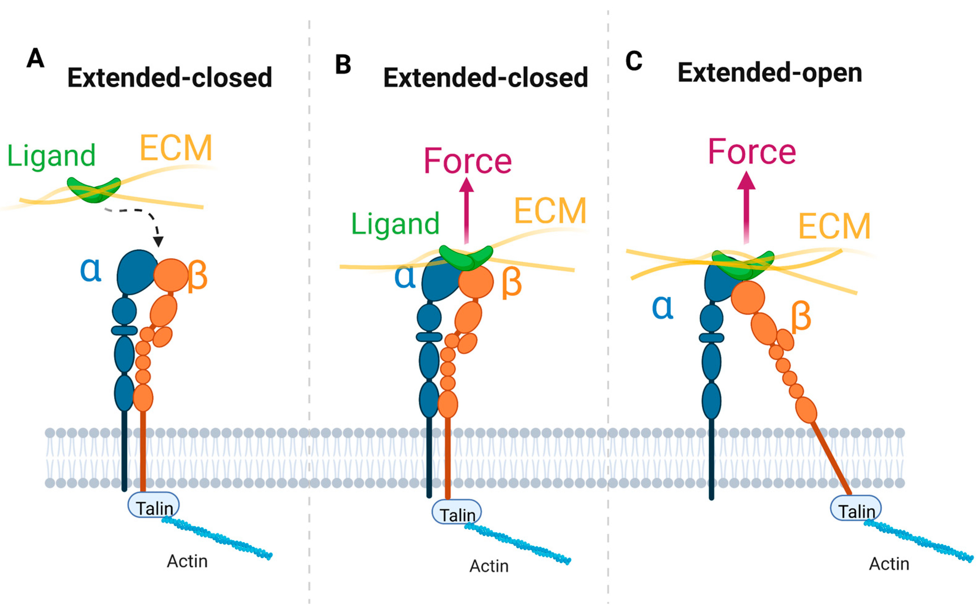 Cells 11 03584 g004 Cells 11 03584 g004