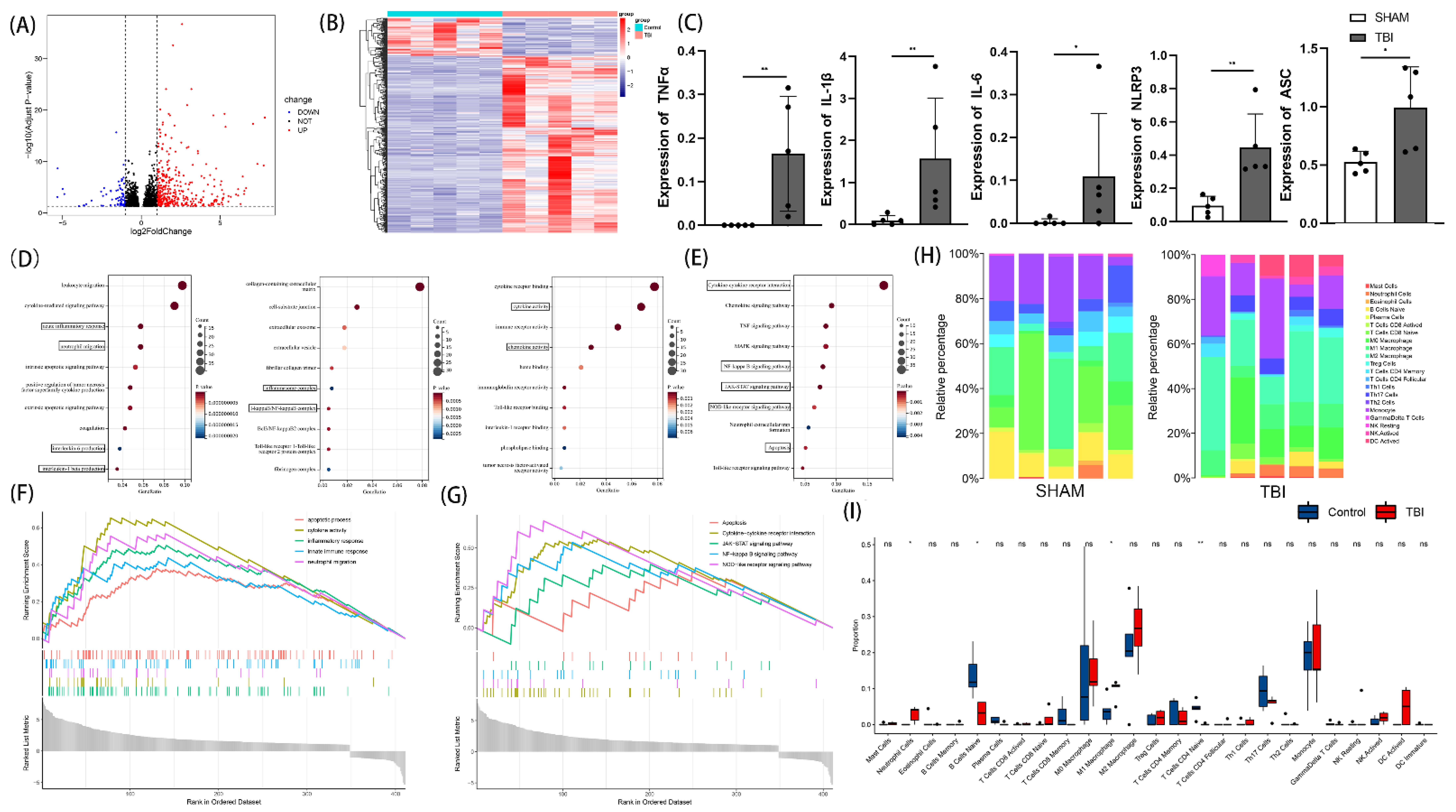 Cells 11 03588 g001 Cells 11 03588 g001