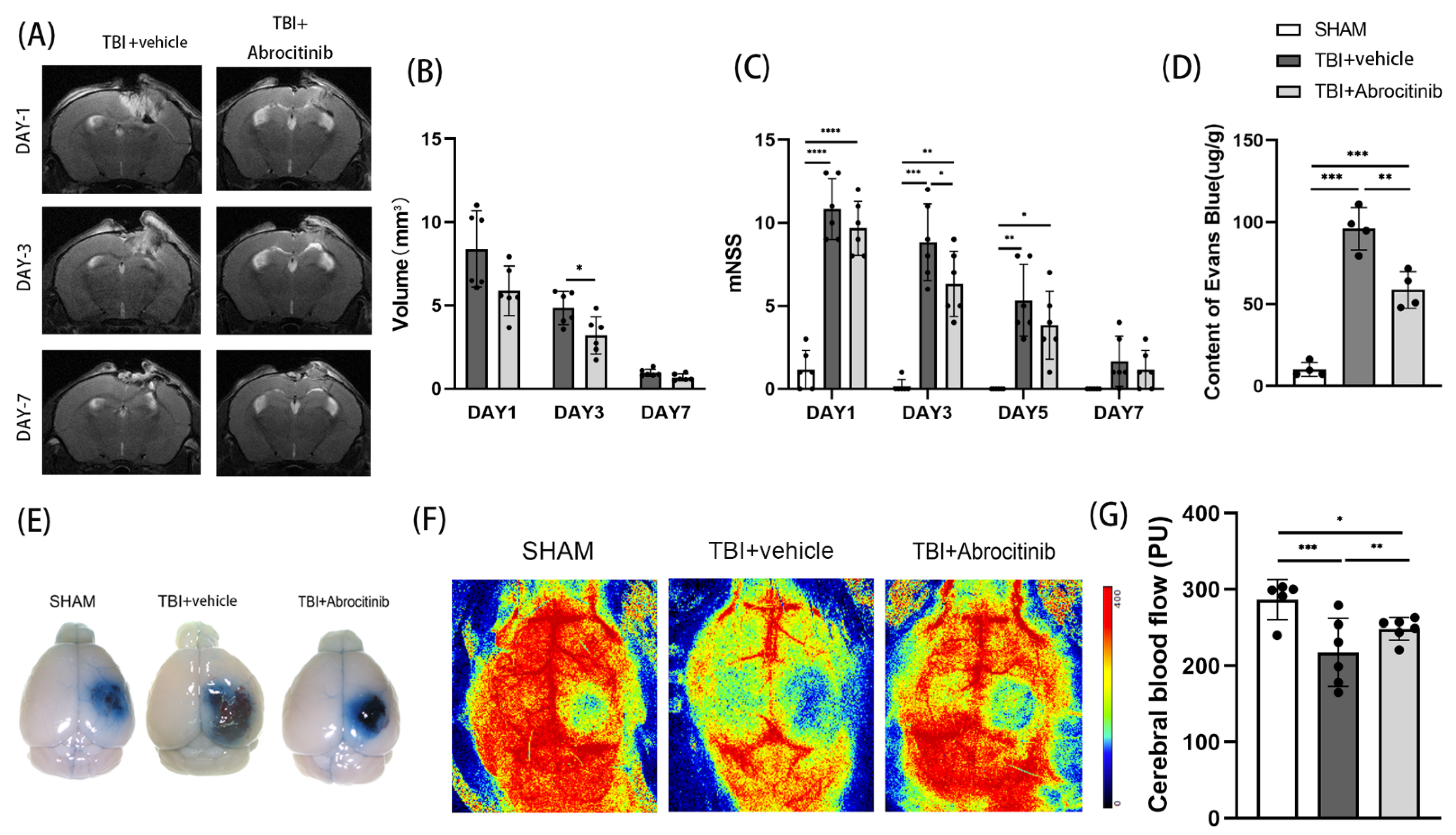 Cells 11 03588 g002 Cells 11 03588 g002