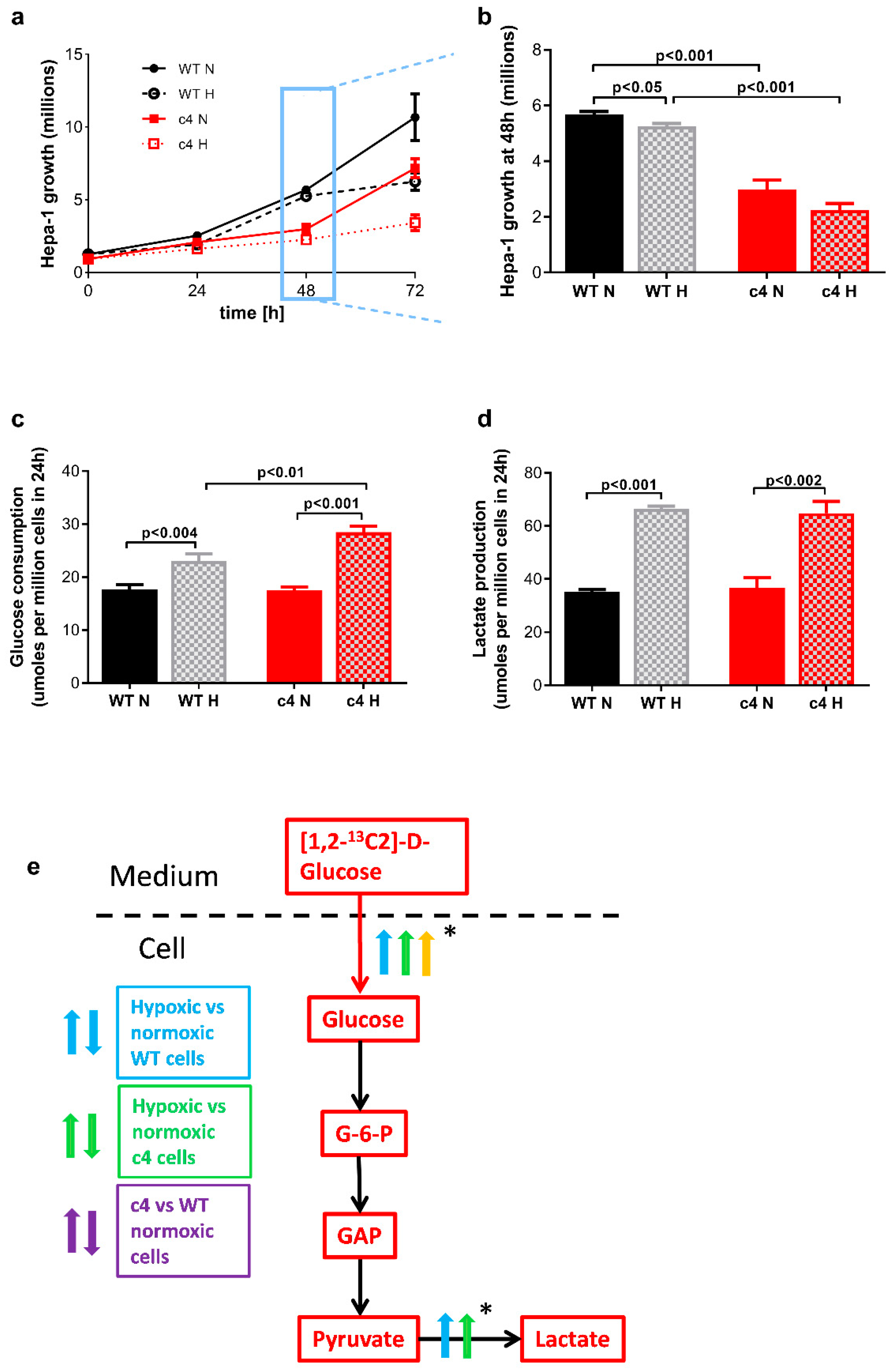 Cells 11 03595 g002 Cells 11 03595 g002
