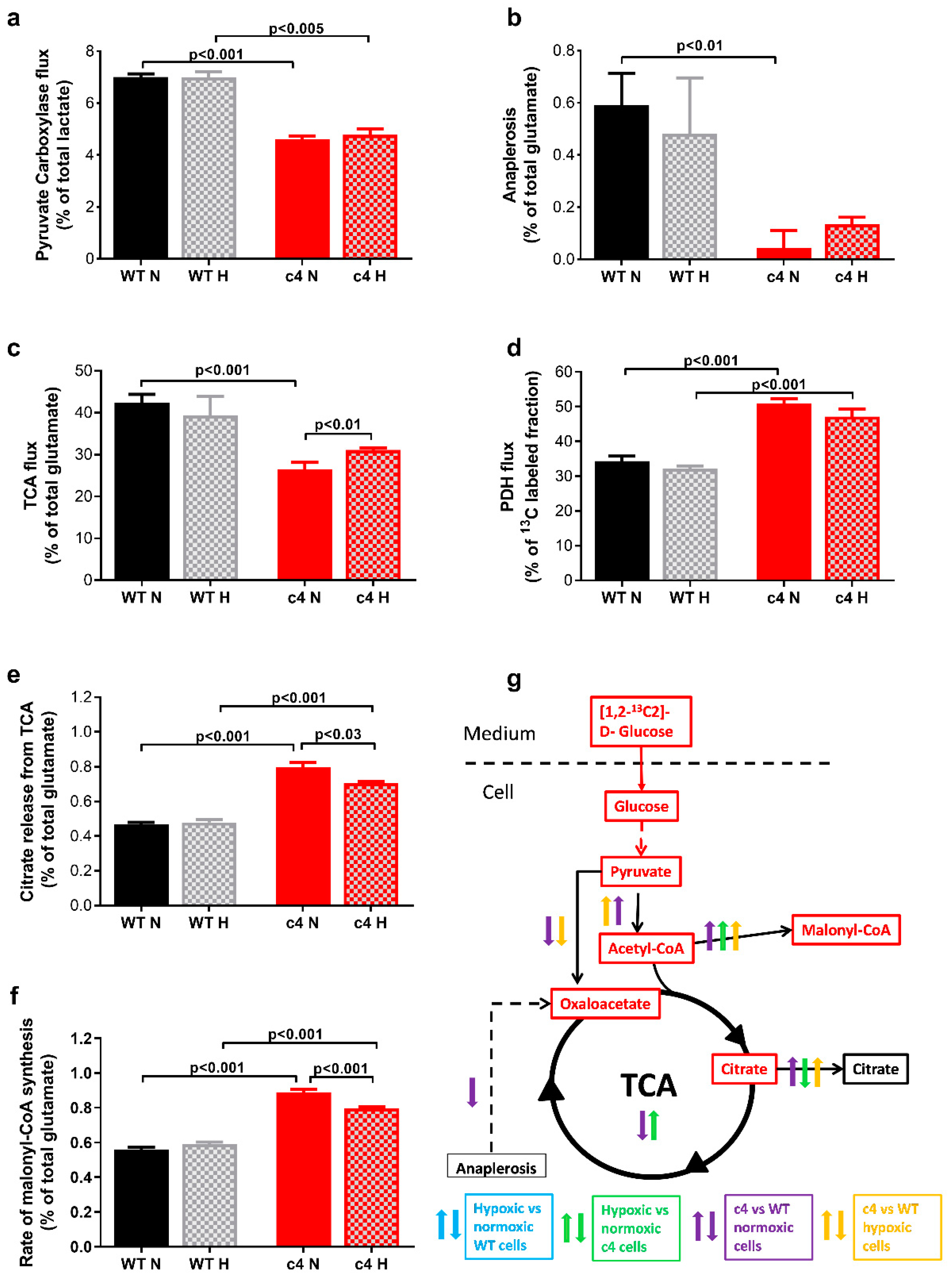 Cells 11 03595 g003 Cells 11 03595 g003