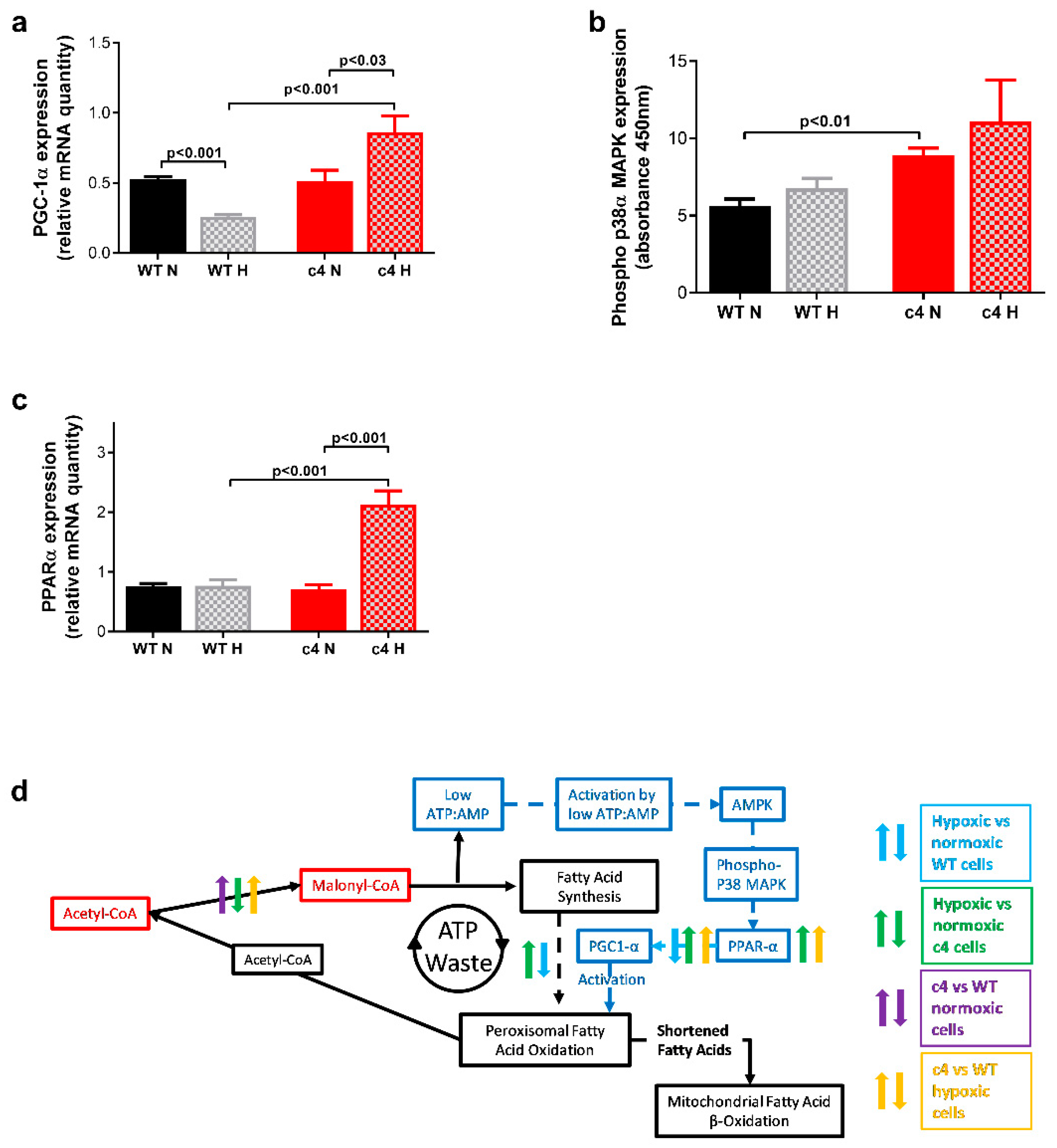 Cells 11 03595 g004 Cells 11 03595 g004