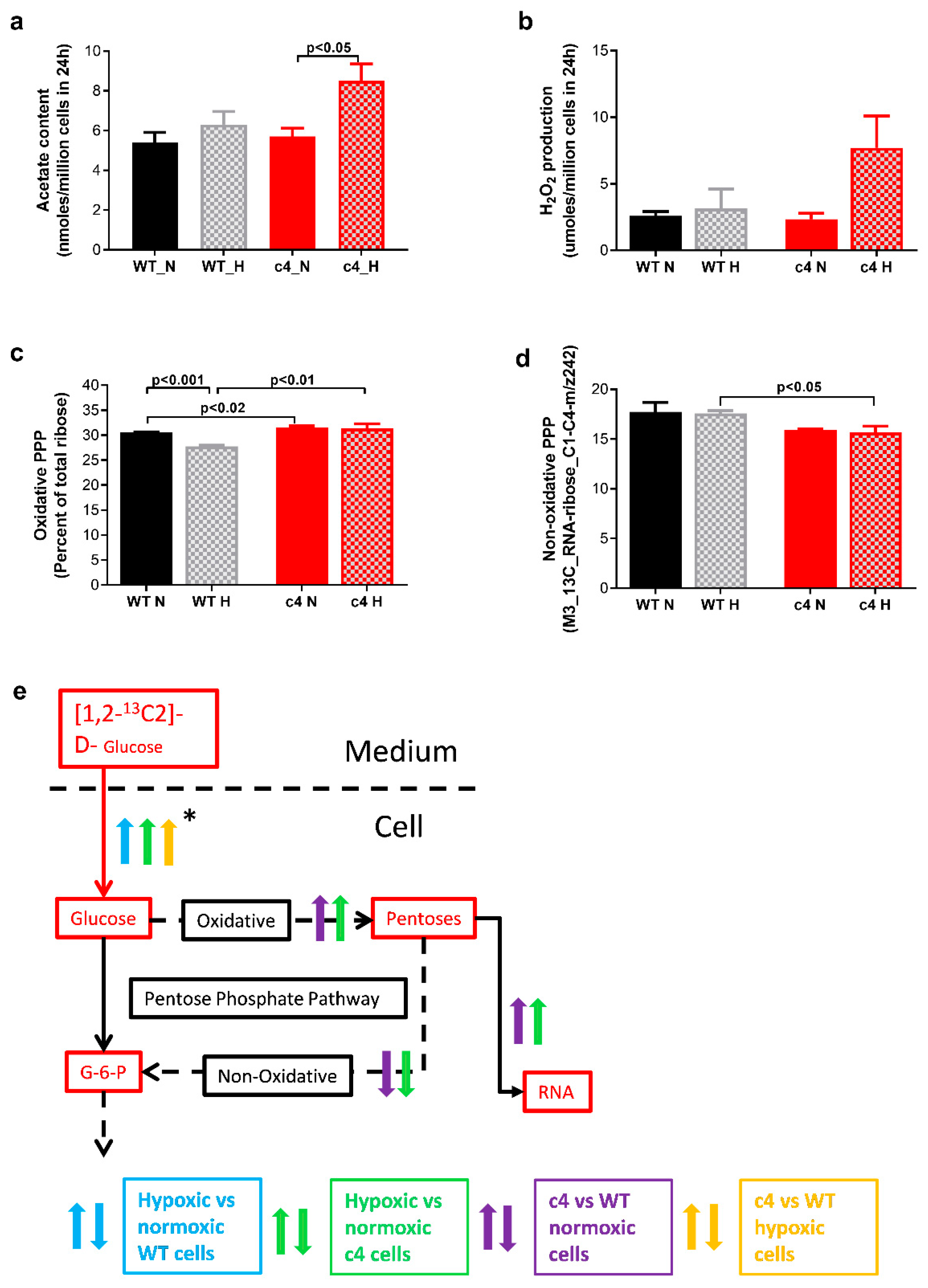 Cells 11 03595 g005 Cells 11 03595 g005