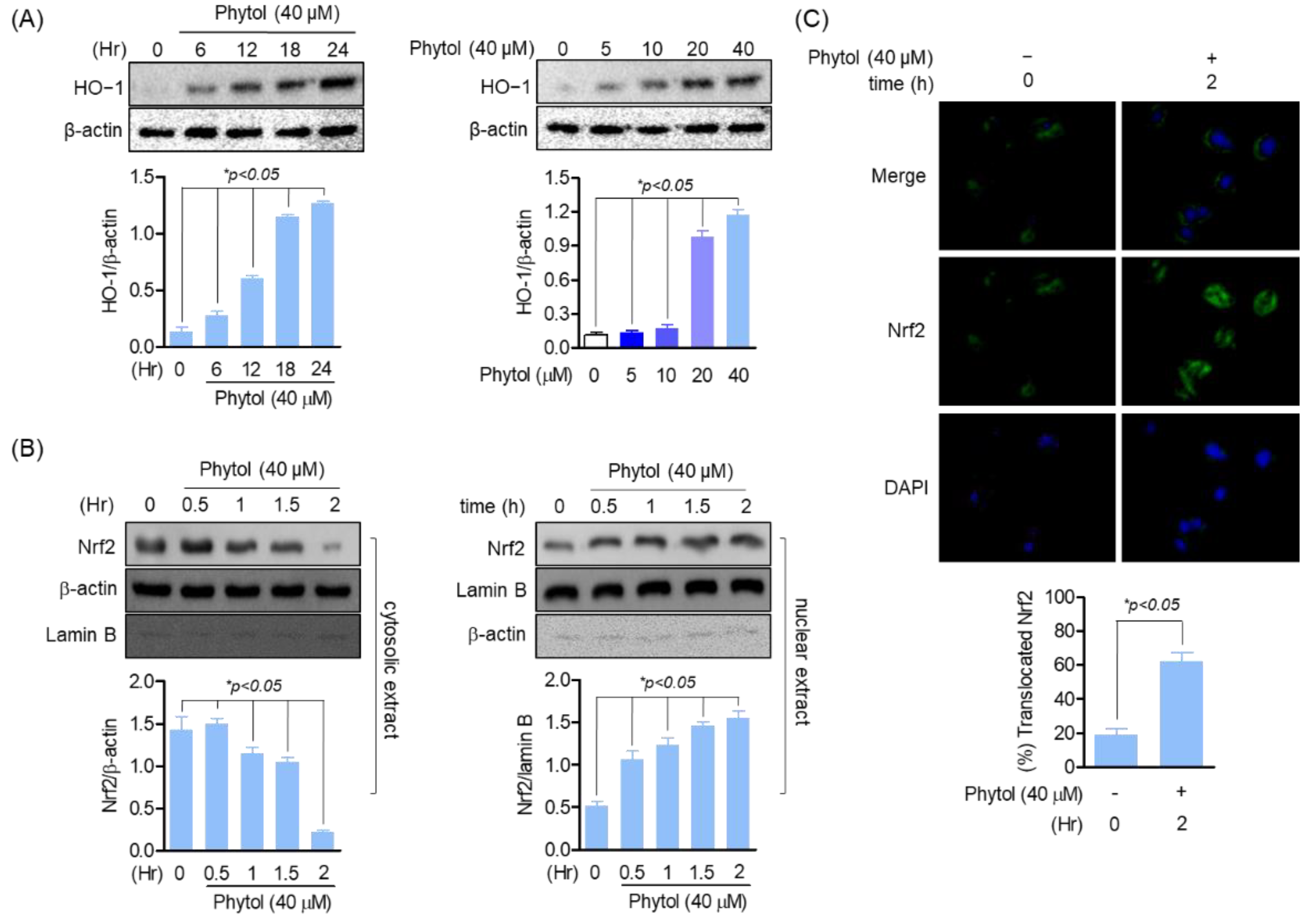 Cells 11 03596 g002 Cells 11 03596 g002