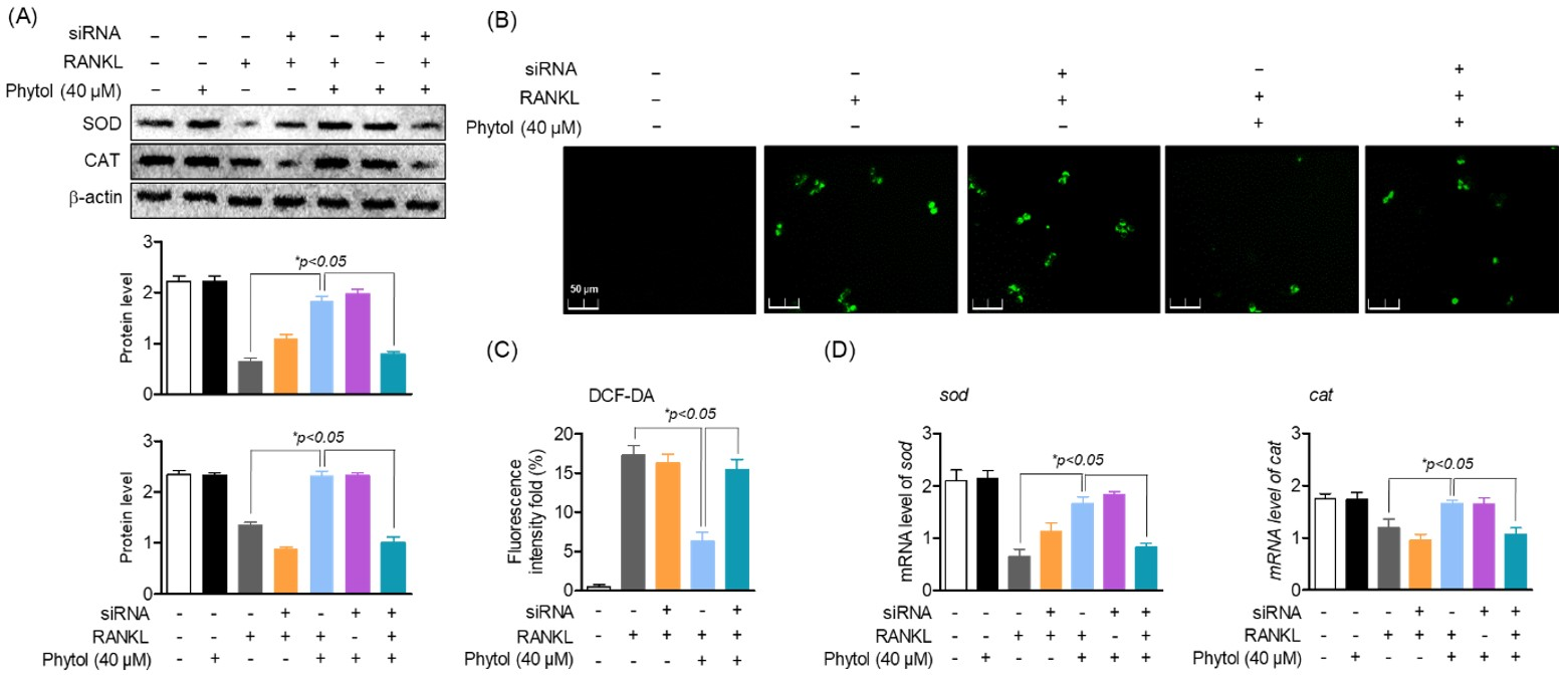 Cells 11 03596 g008 Cells 11 03596 g008