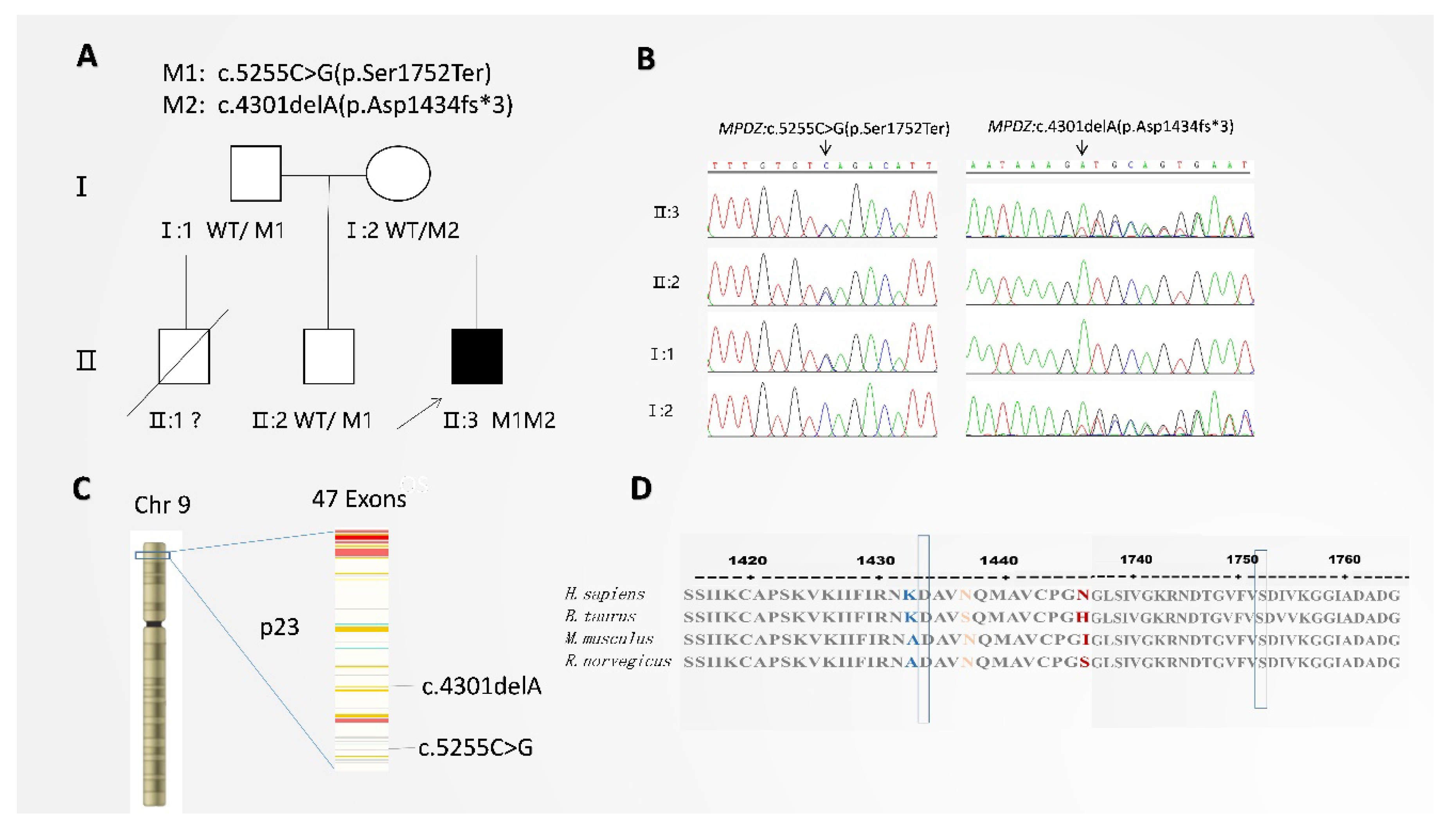 Cells 11 03602 g001 Cells 11 03602 g001