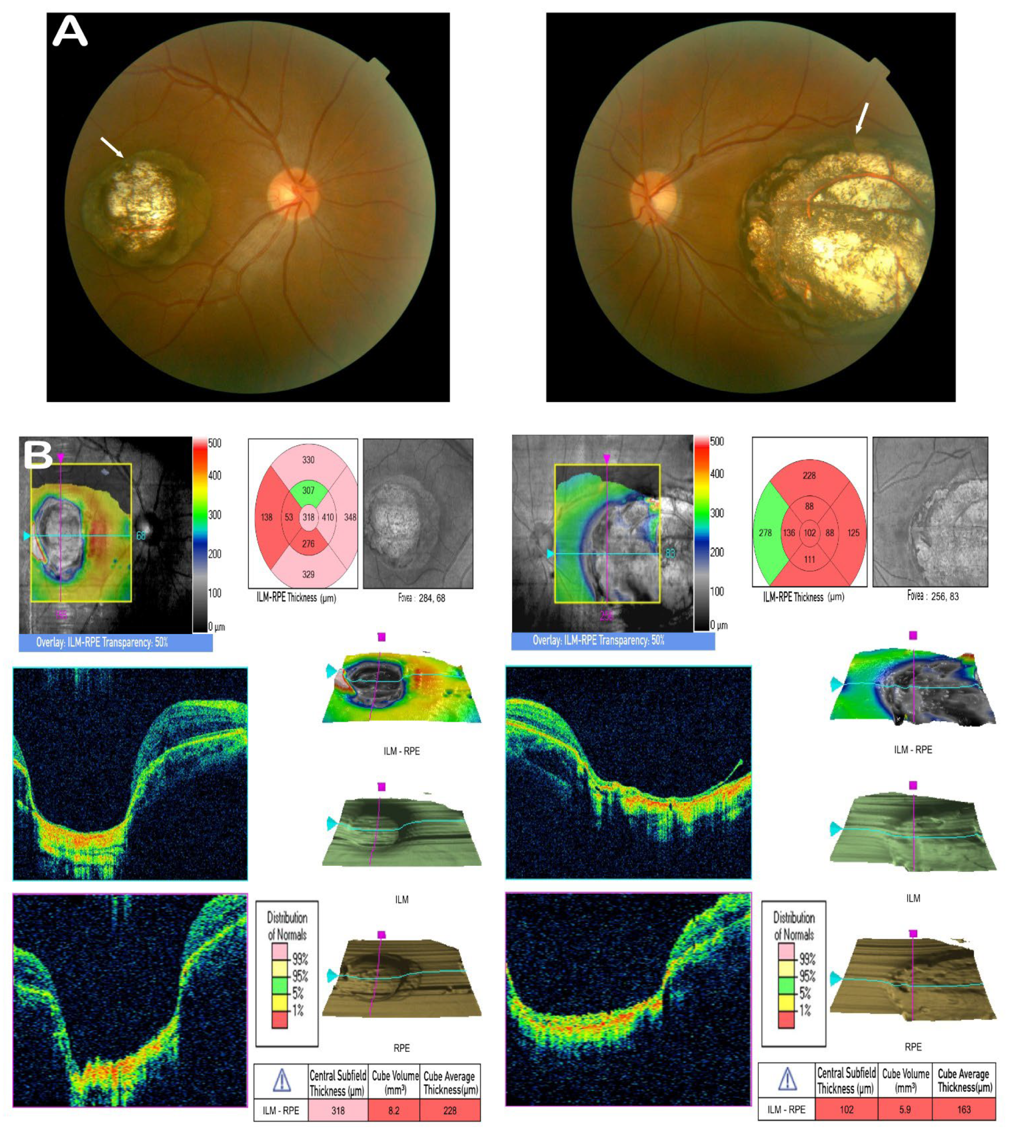 Cells 11 03602 g002 Cells 11 03602 g002