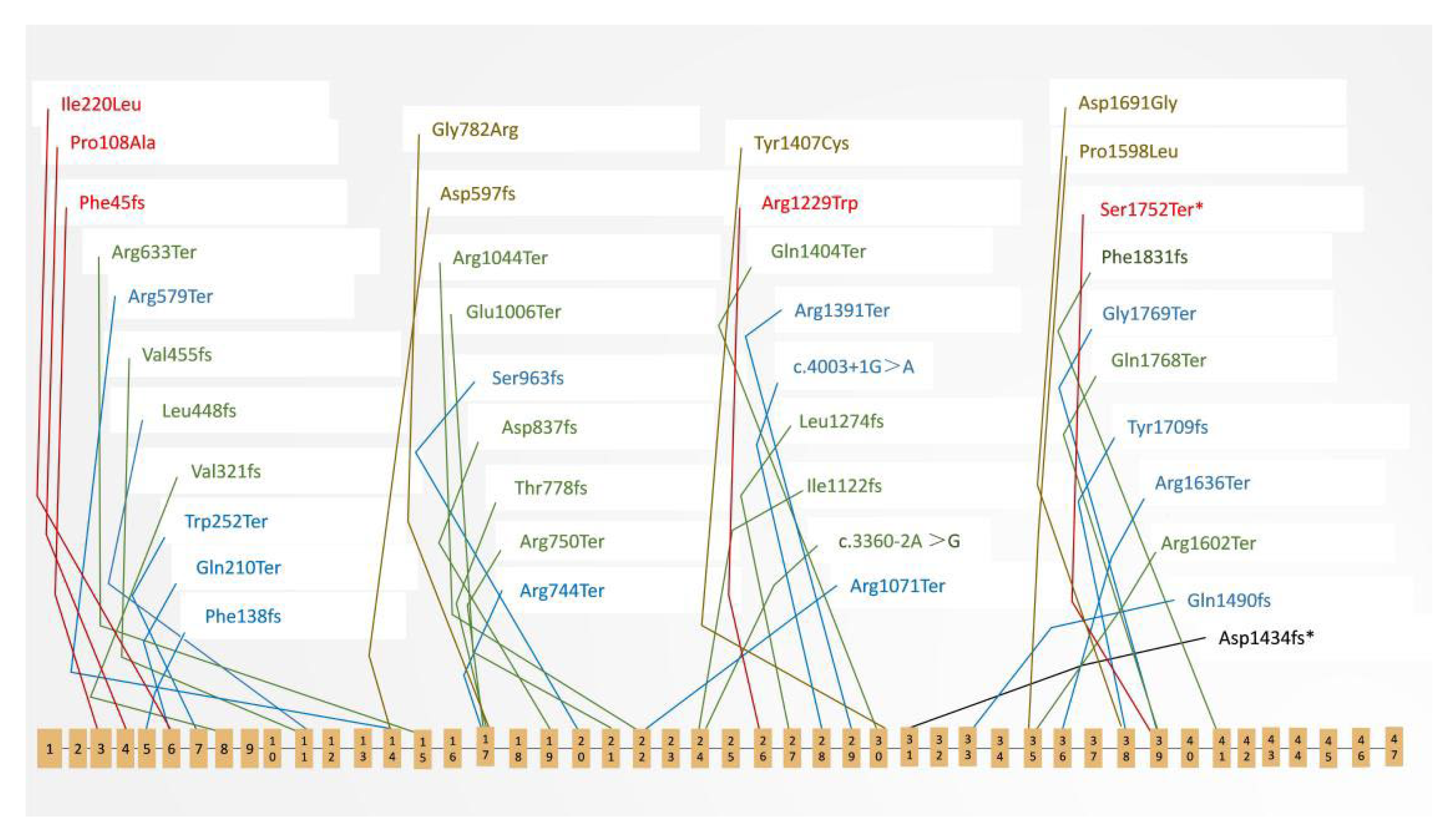Cells 11 03602 g005 Cells 11 03602 g005