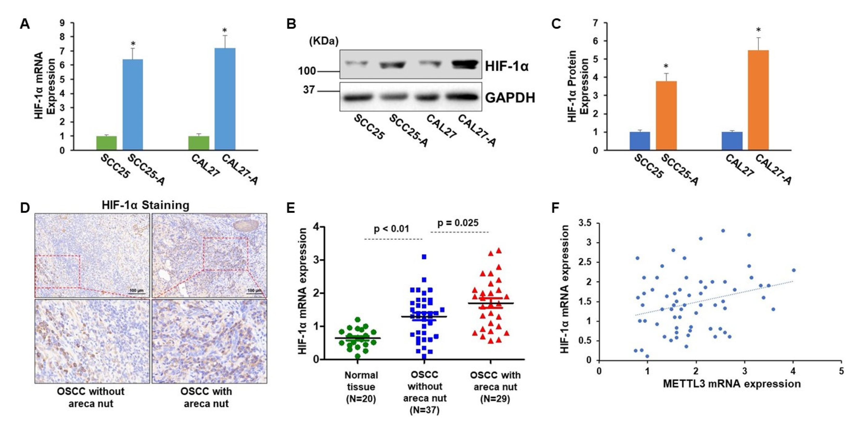Cells 11 03605 g003 Cells 11 03605 g003