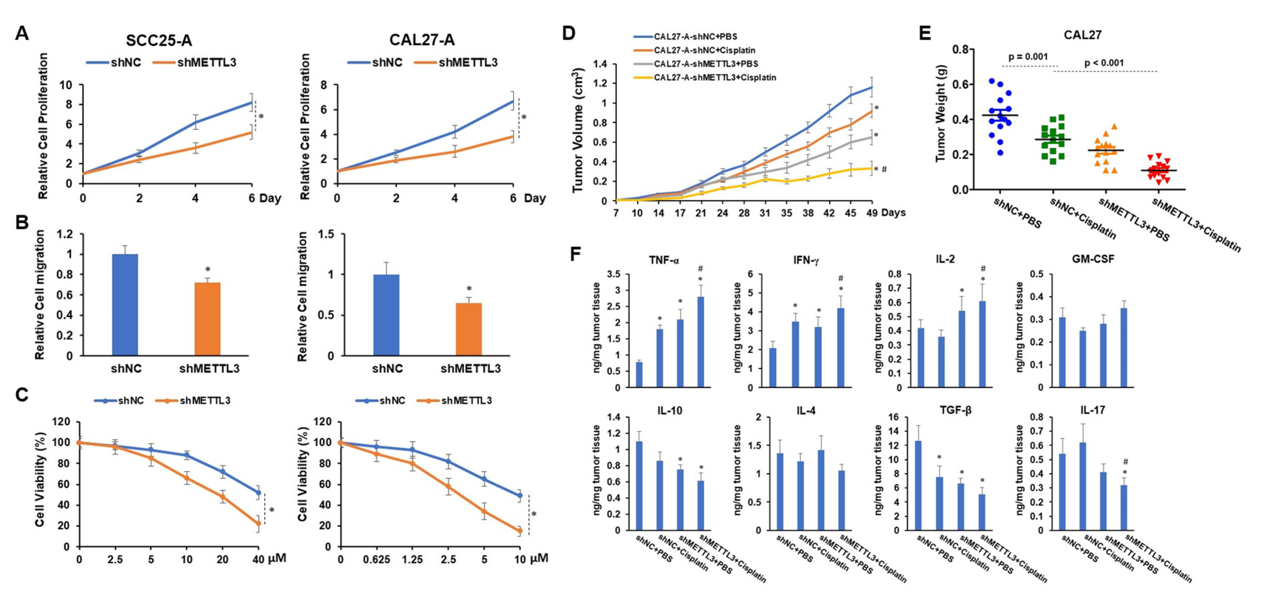 Cells 11 03605 g005 Cells 11 03605 g005