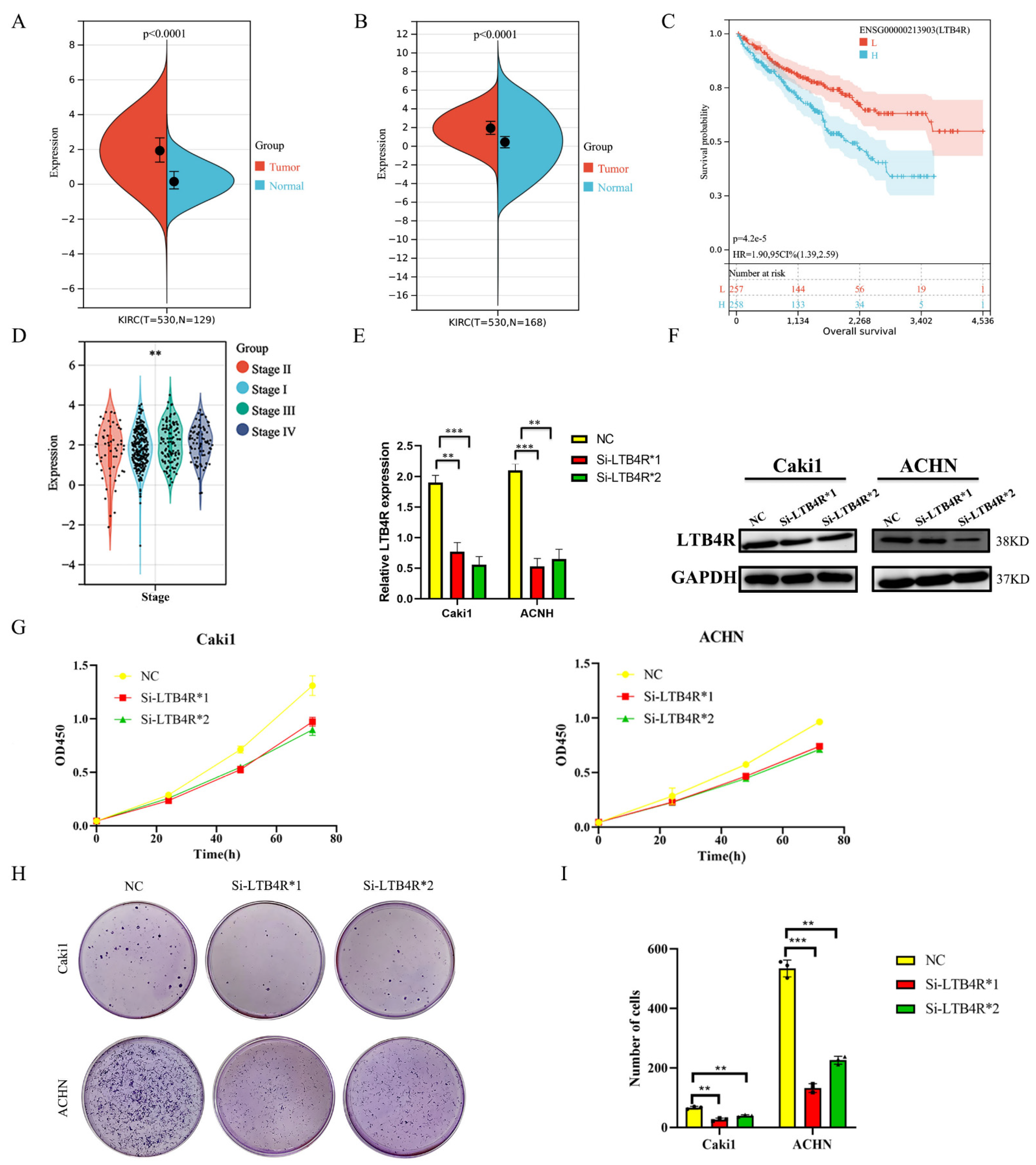 Cells 11 03606 g001 Cells 11 03606 g001