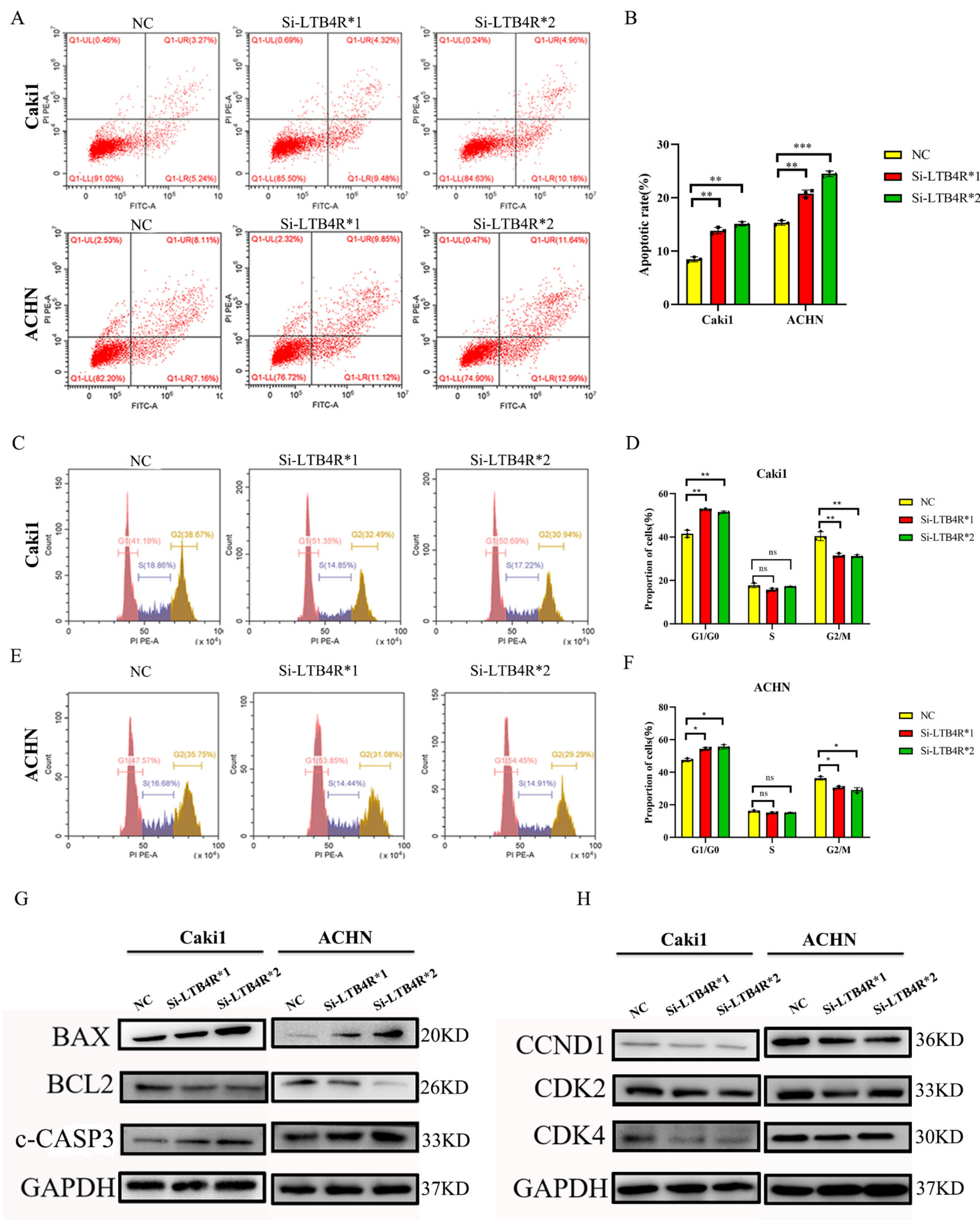 Cells 11 03606 g002 Cells 11 03606 g002