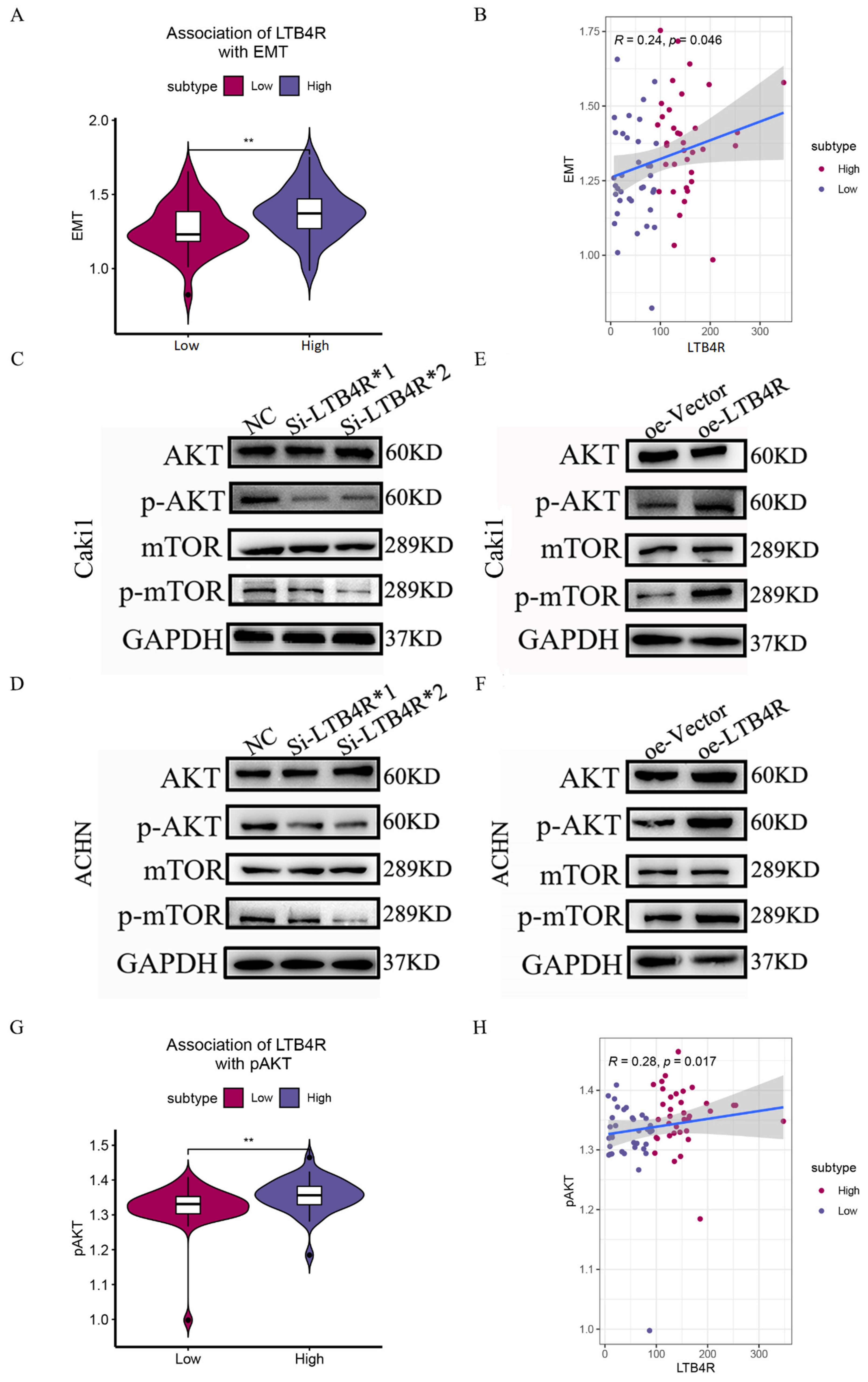 Cells 11 03606 g008 Cells 11 03606 g008