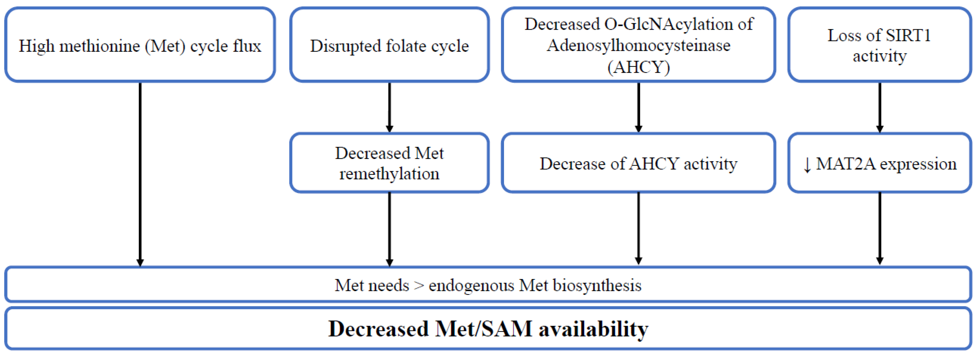 Cells 11 03607 g002 Cells 11 03607 g002