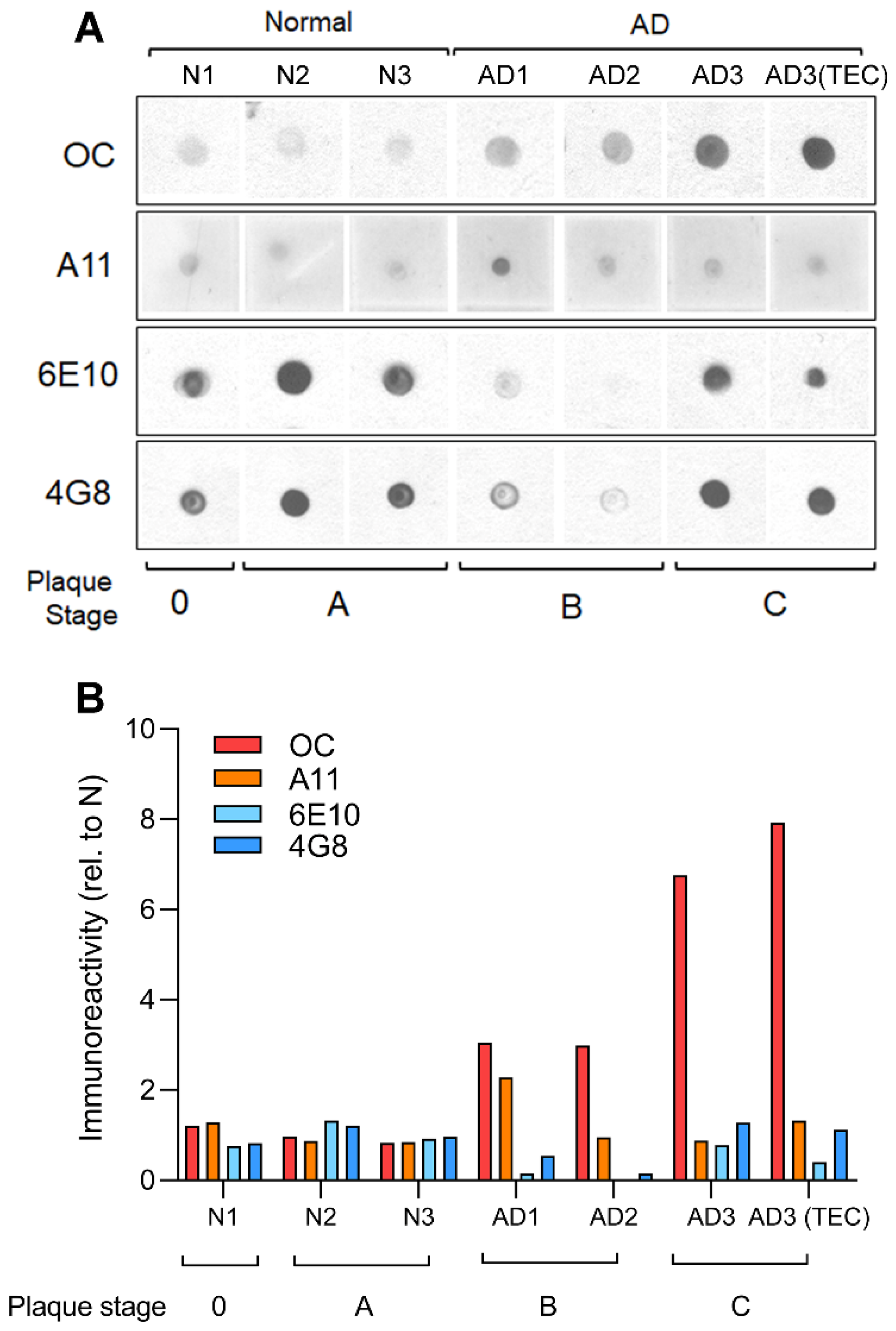 Cells 11 03630 g001 Cells 11 03630 g001