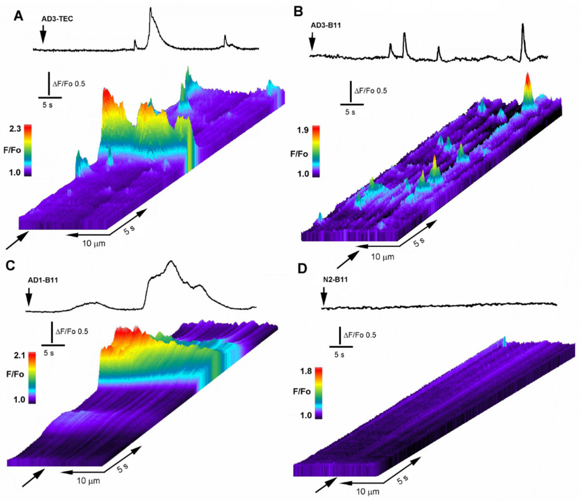Cells 11 03630 g002 Cells 11 03630 g002