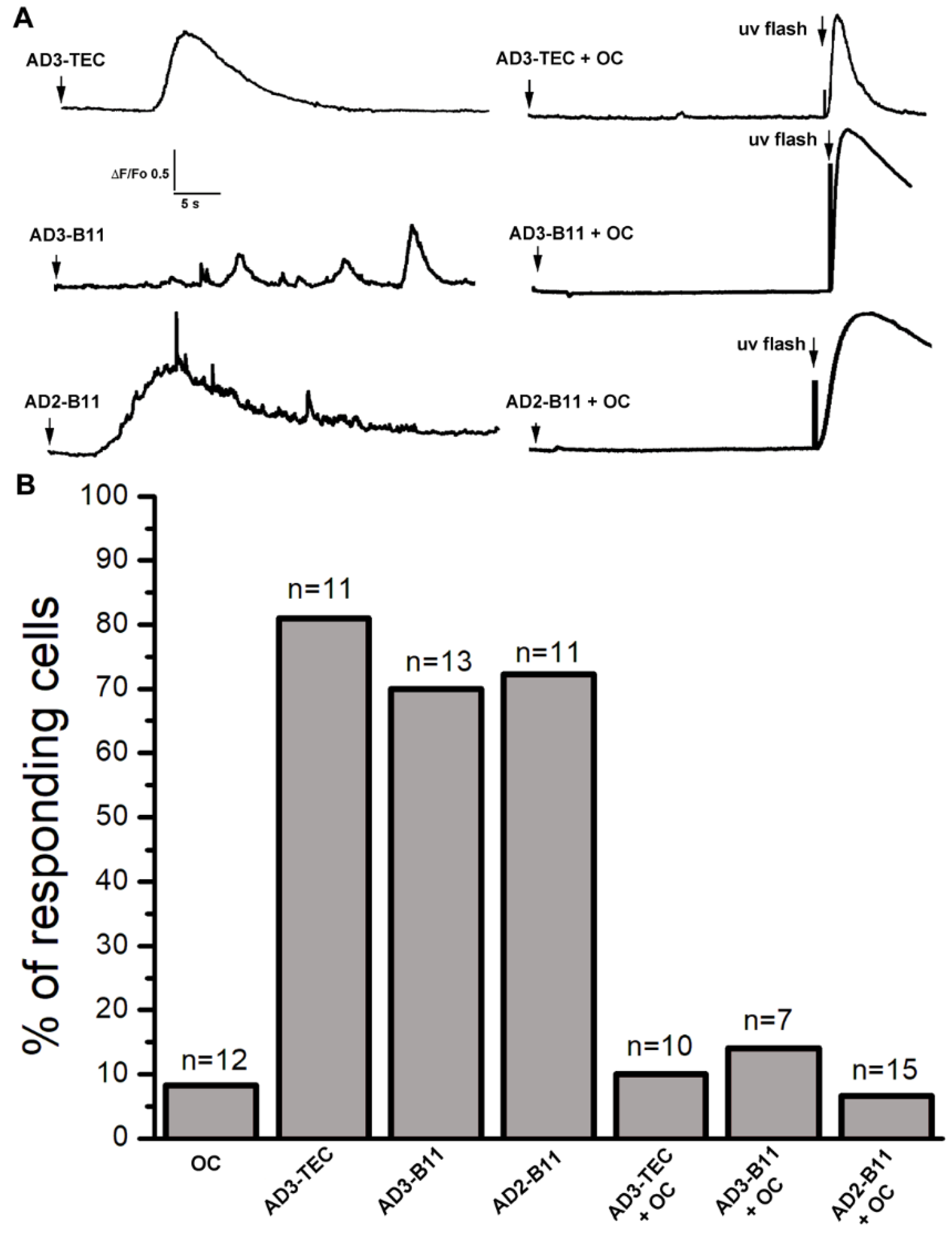 Cells 11 03630 g004 Cells 11 03630 g004