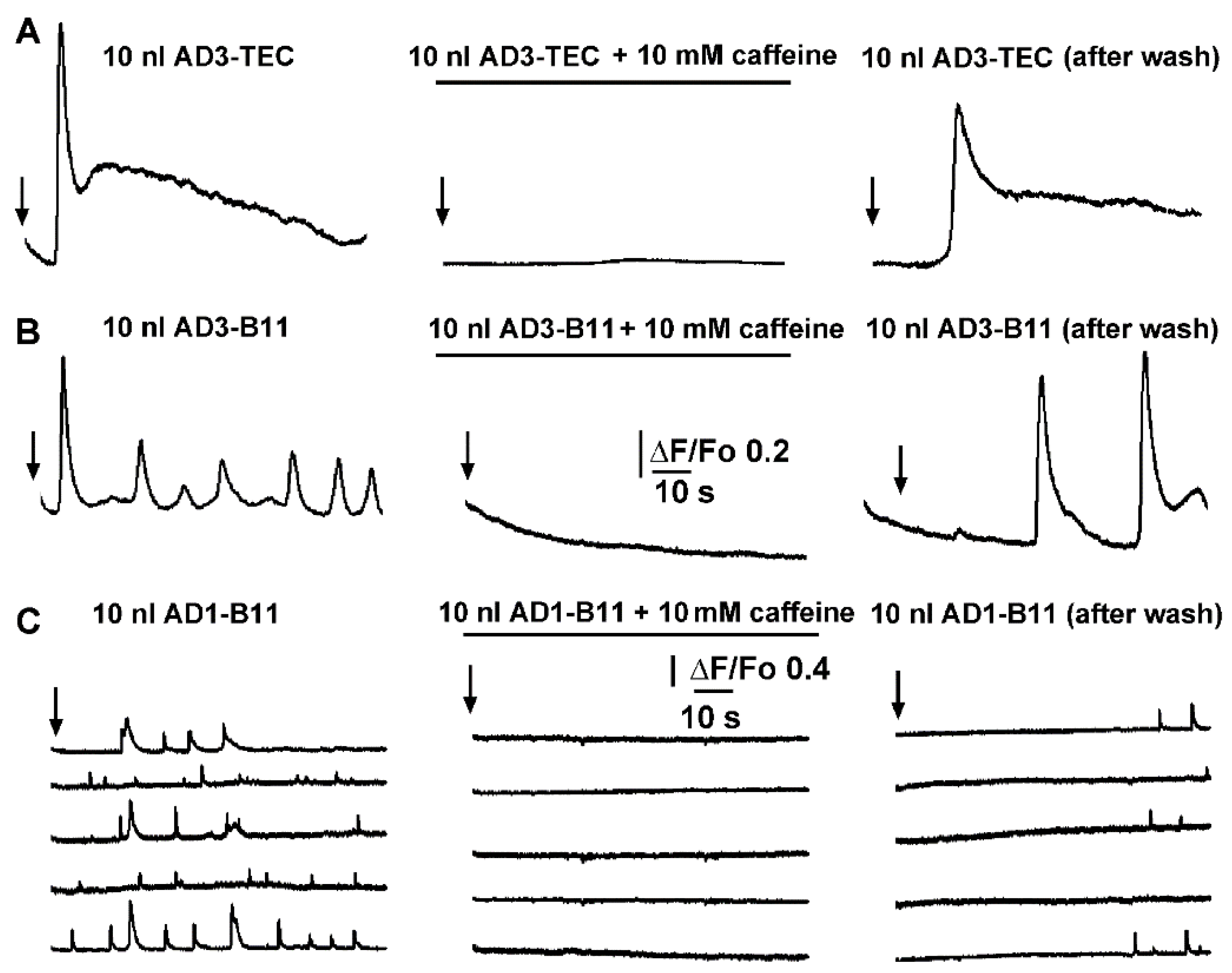 Cells 11 03630 g006 Cells 11 03630 g006