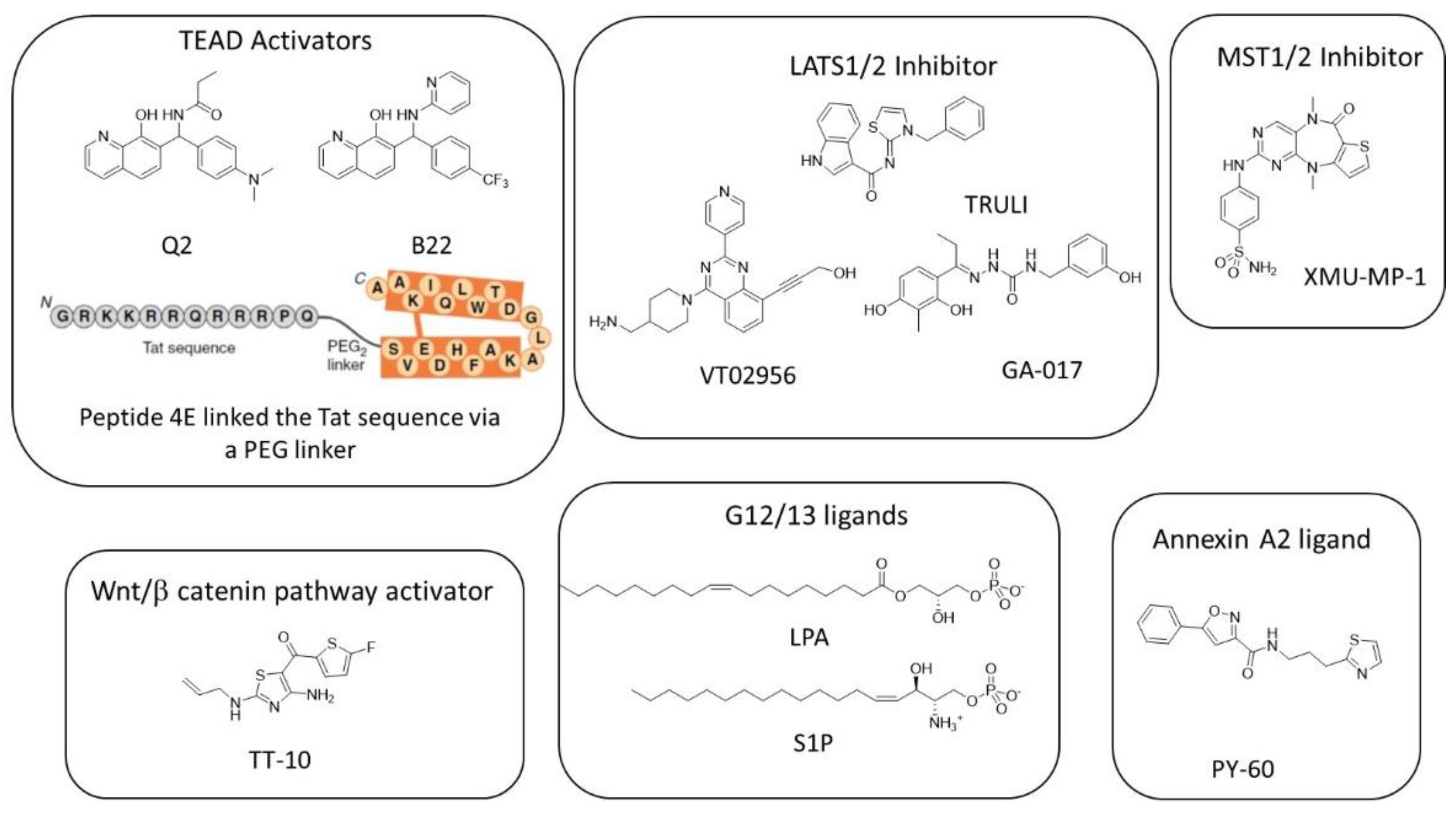 Cells 11 03631 g004 Cells 11 03631 g004