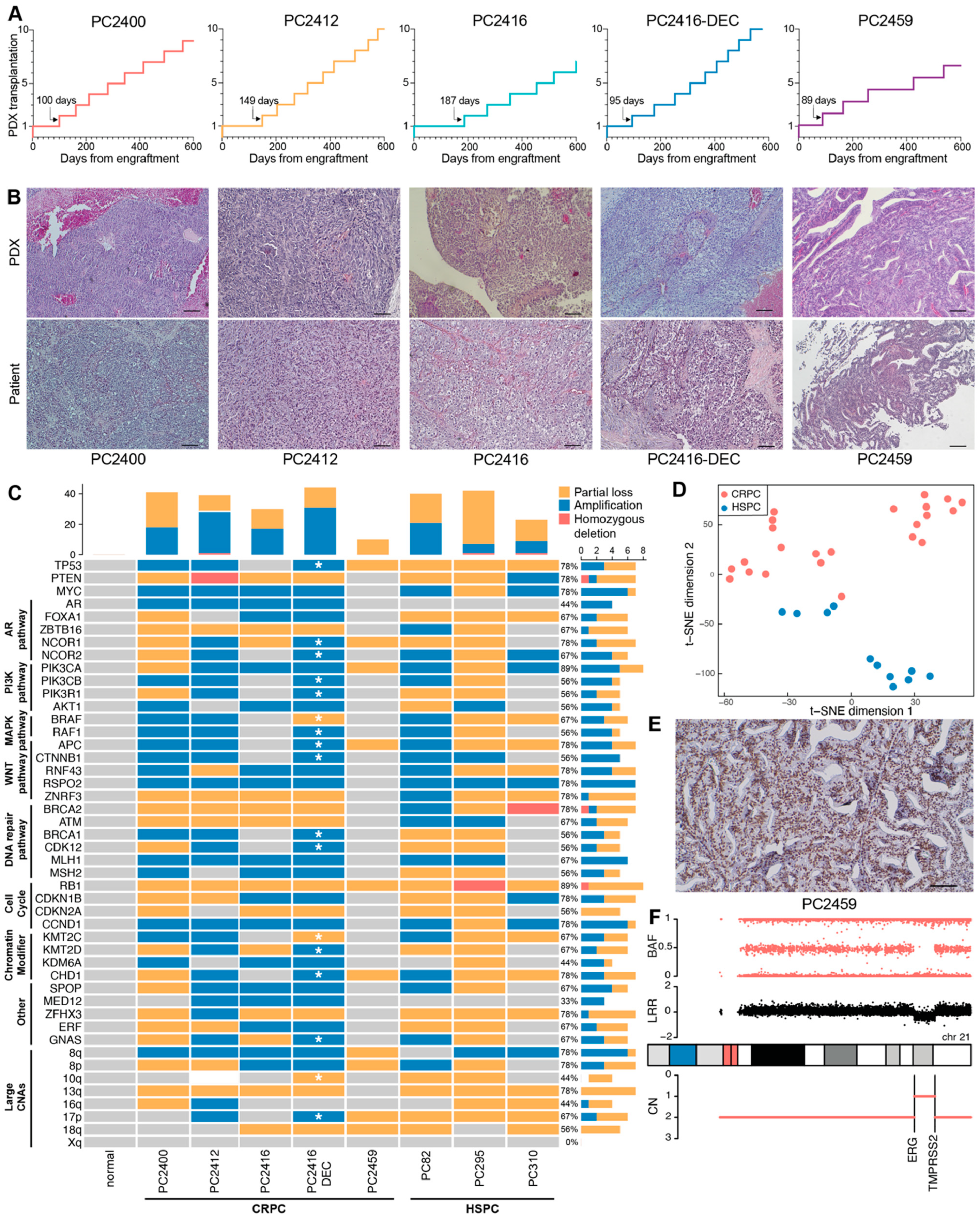 Cells 11 03632 g002 Cells 11 03632 g002