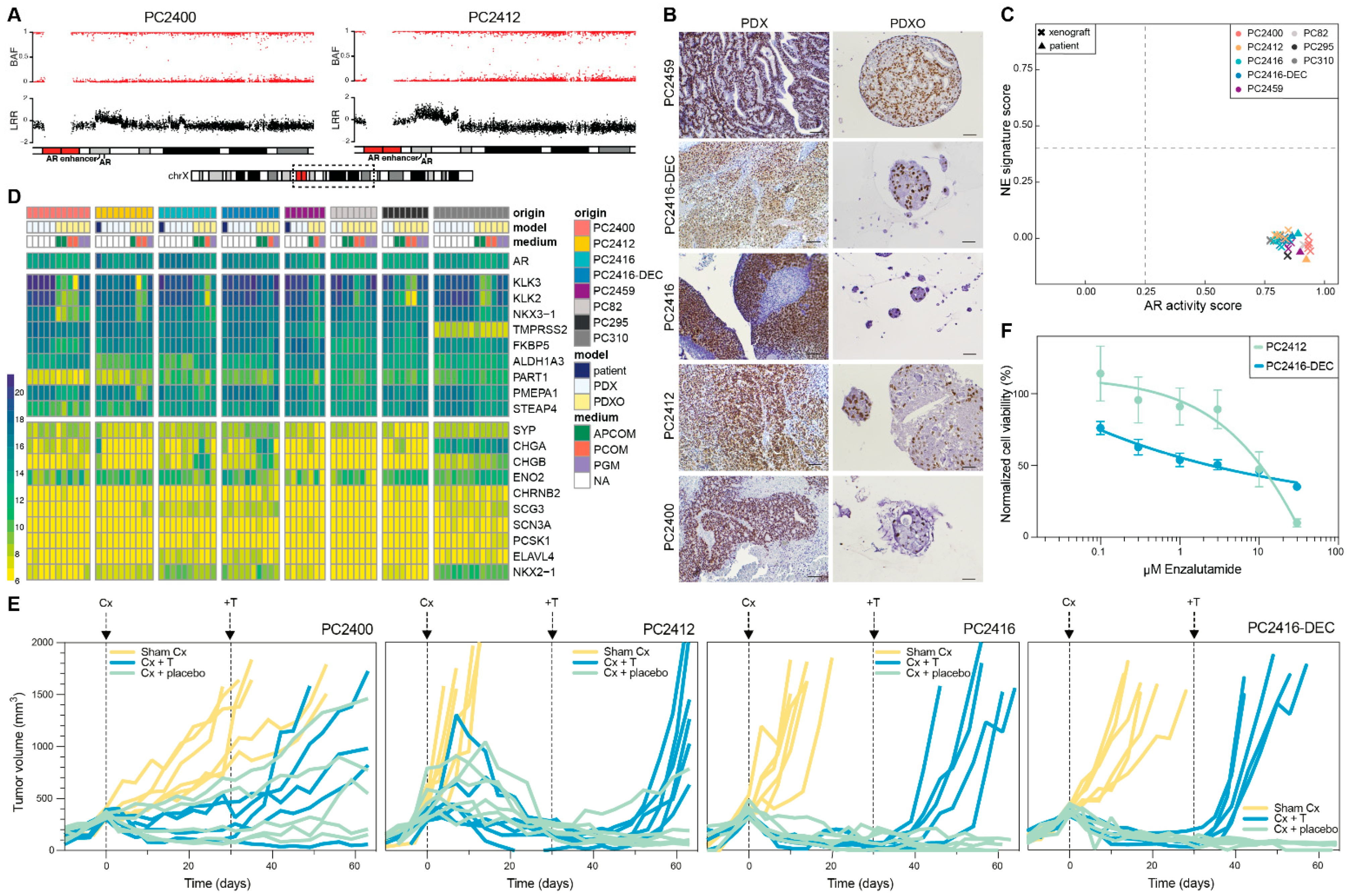 Cells 11 03632 g004 Cells 11 03632 g004