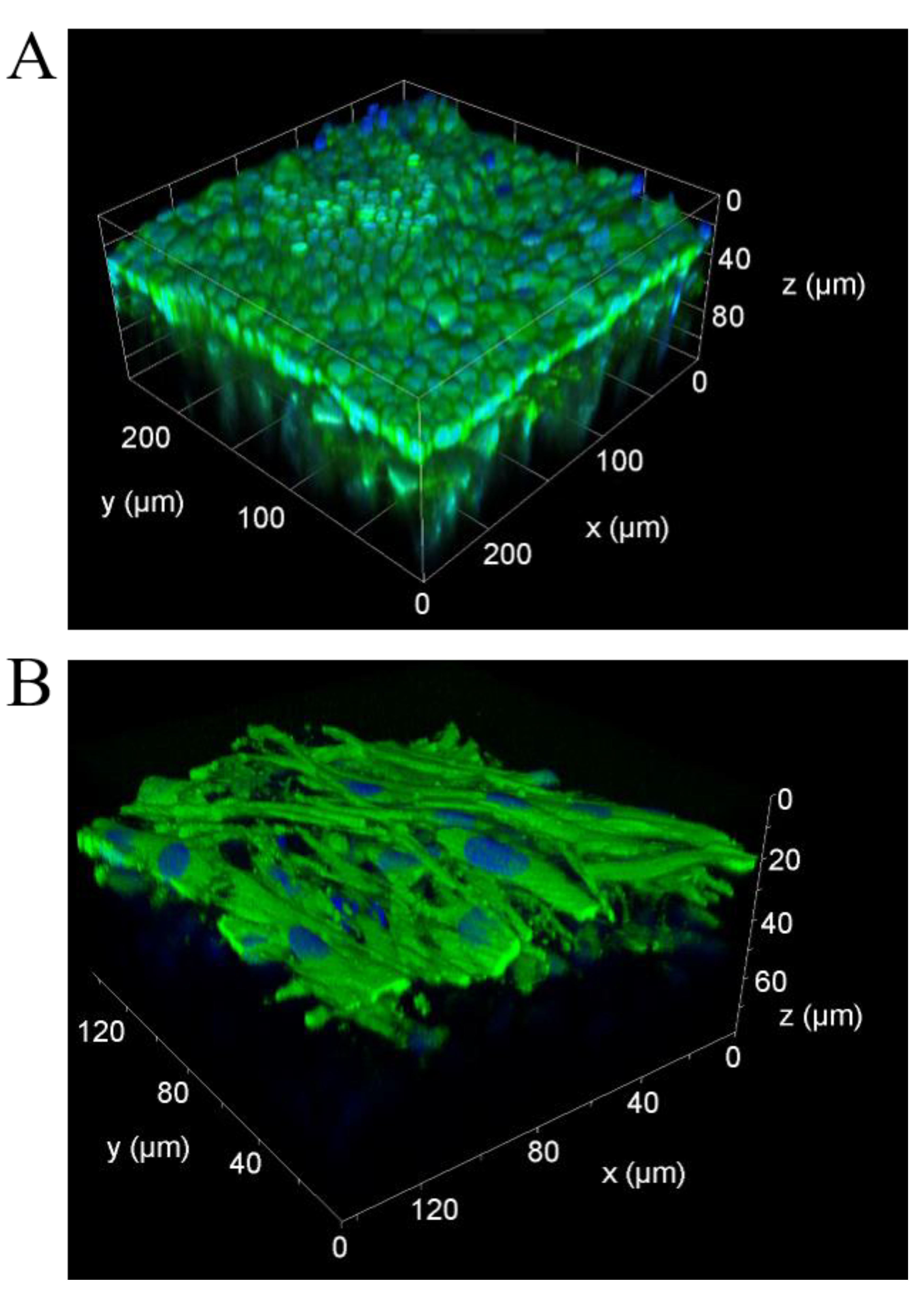 Cells 11 03634 g003 Cells 11 03634 g003