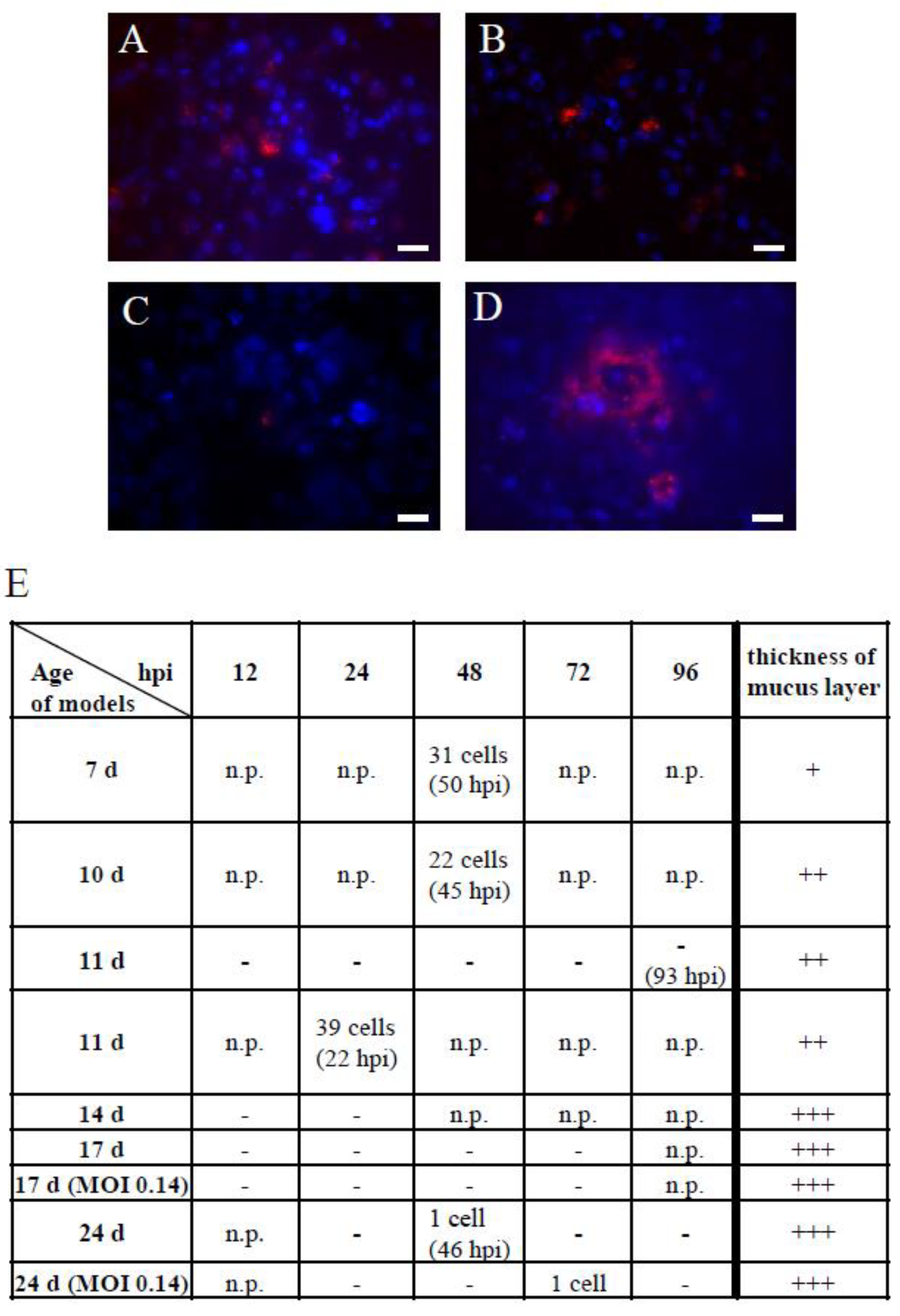 Cells 11 03634 g007 Cells 11 03634 g007
