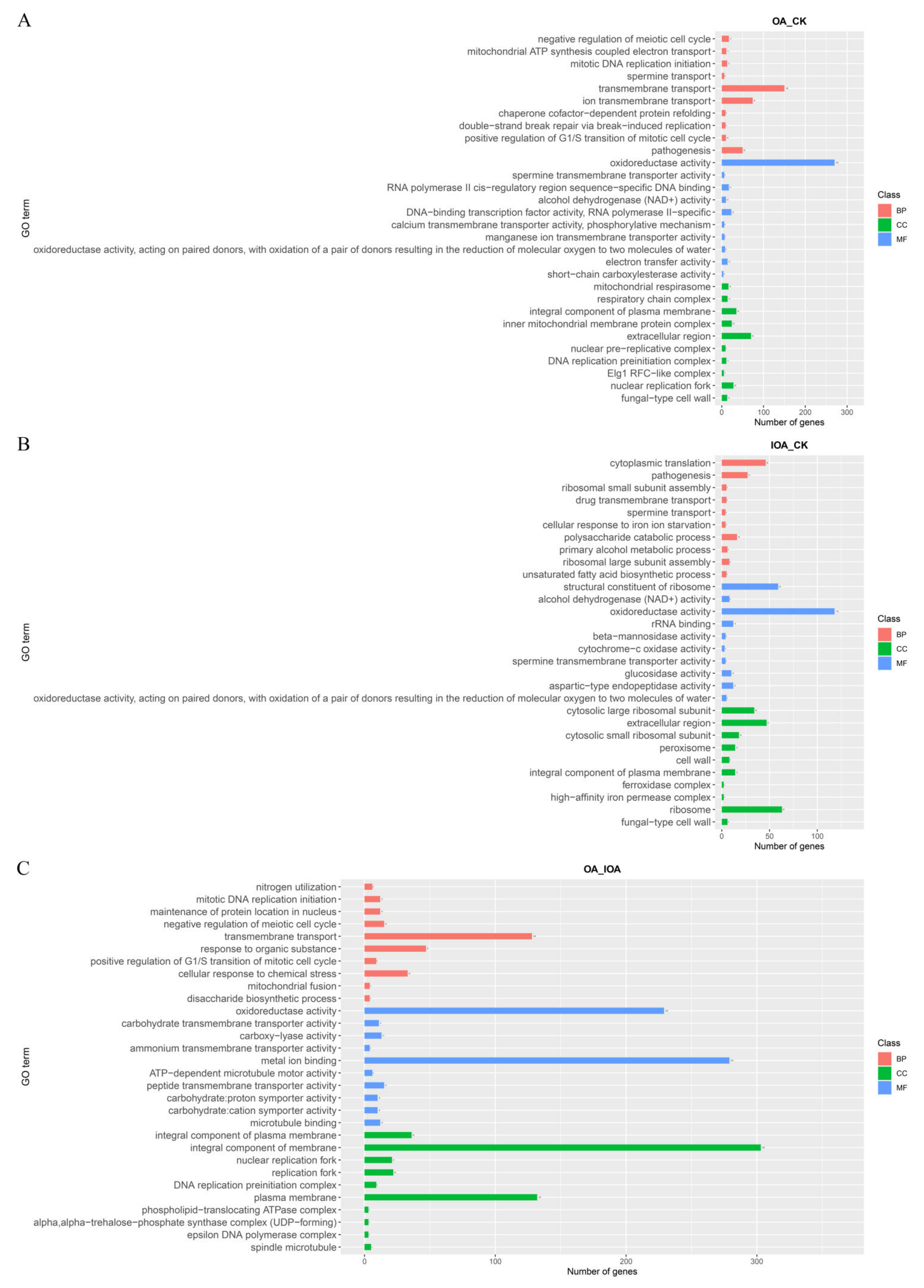 Cells 11 03636 g002 Cells 11 03636 g002