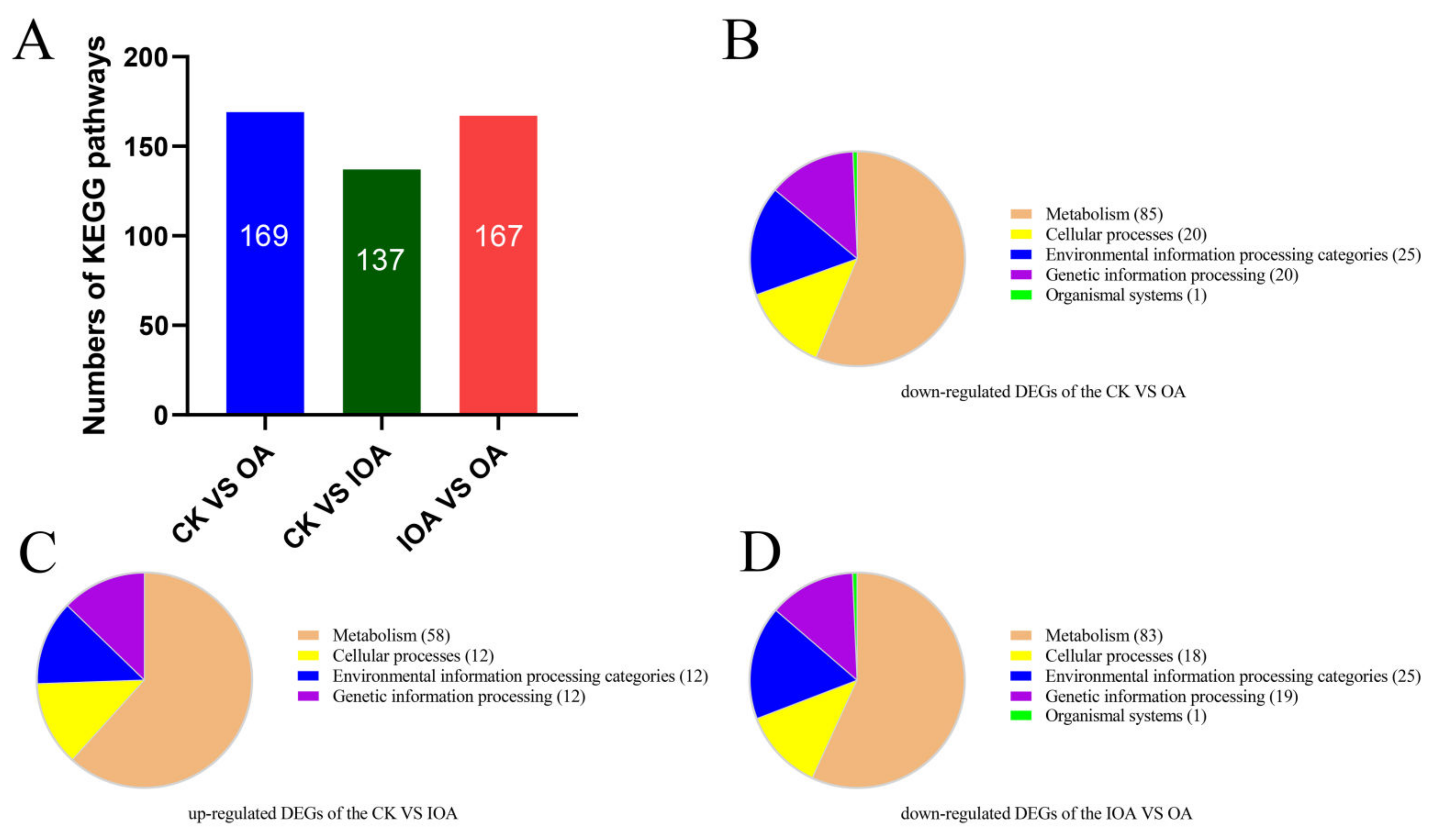 Cells 11 03636 g003 Cells 11 03636 g003