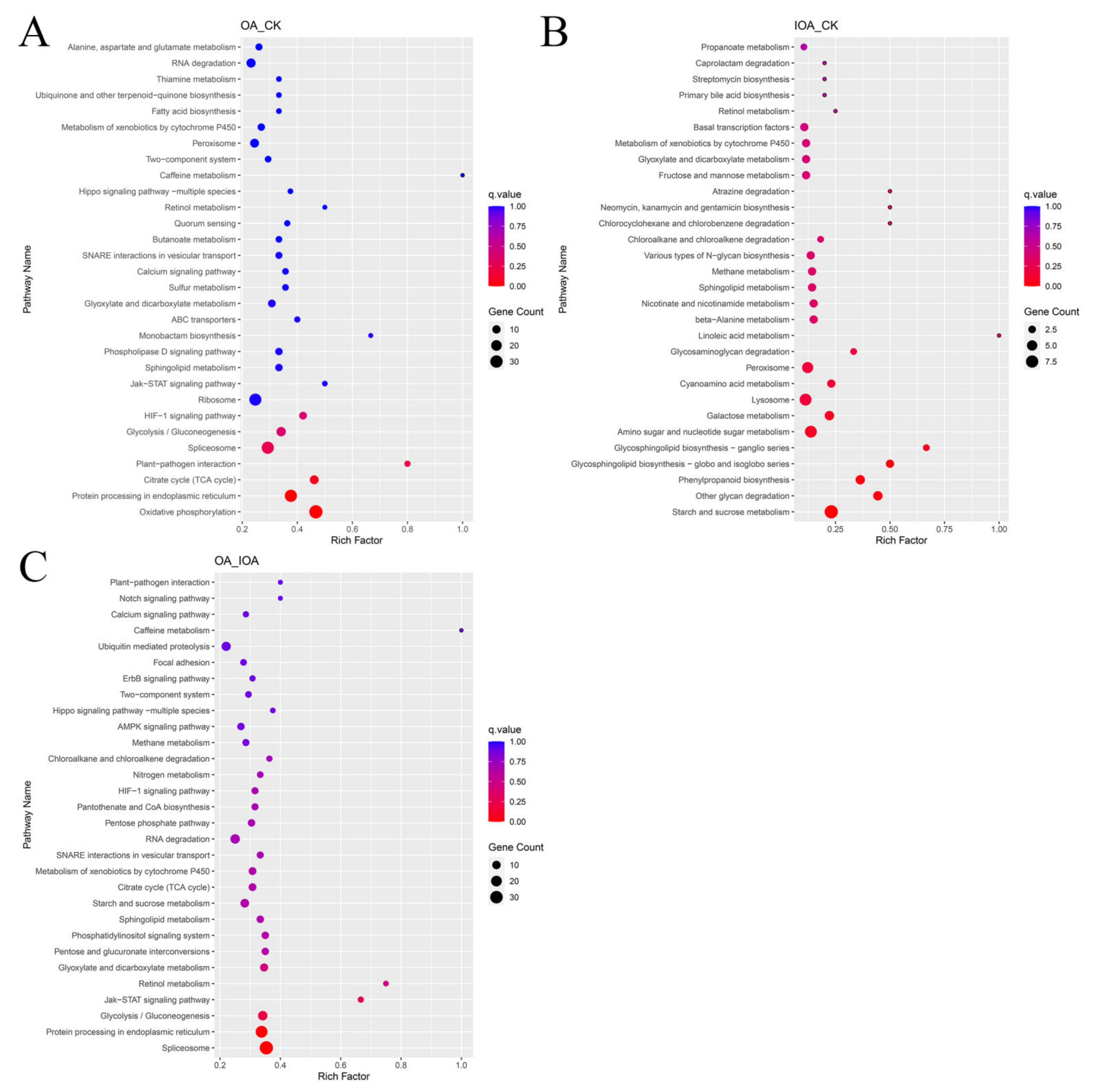 Cells 11 03636 g004 Cells 11 03636 g004