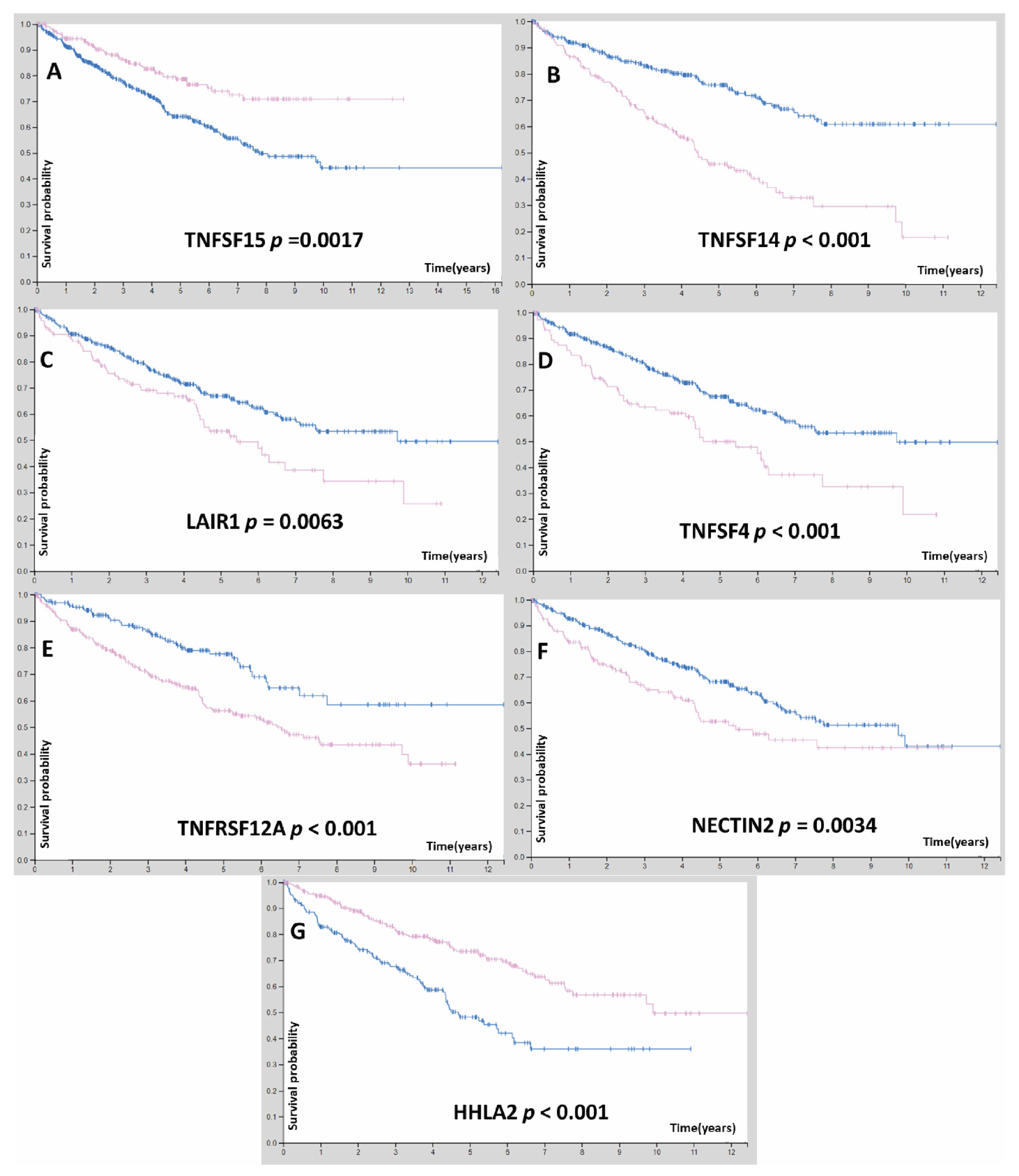 Cells 11 03641 g002 Cells 11 03641 g002