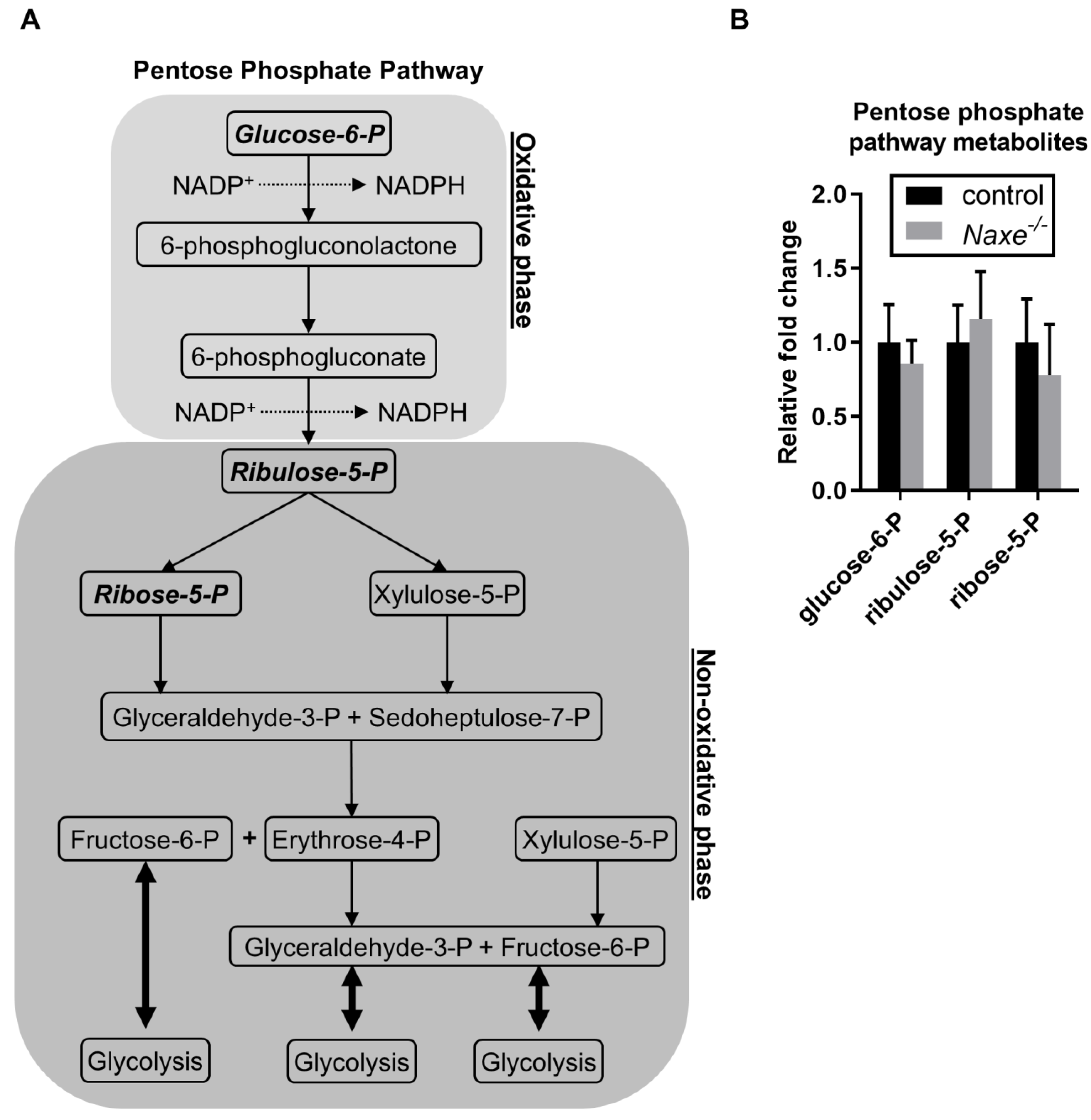 Cells 11 03643 g005 Cells 11 03643 g005