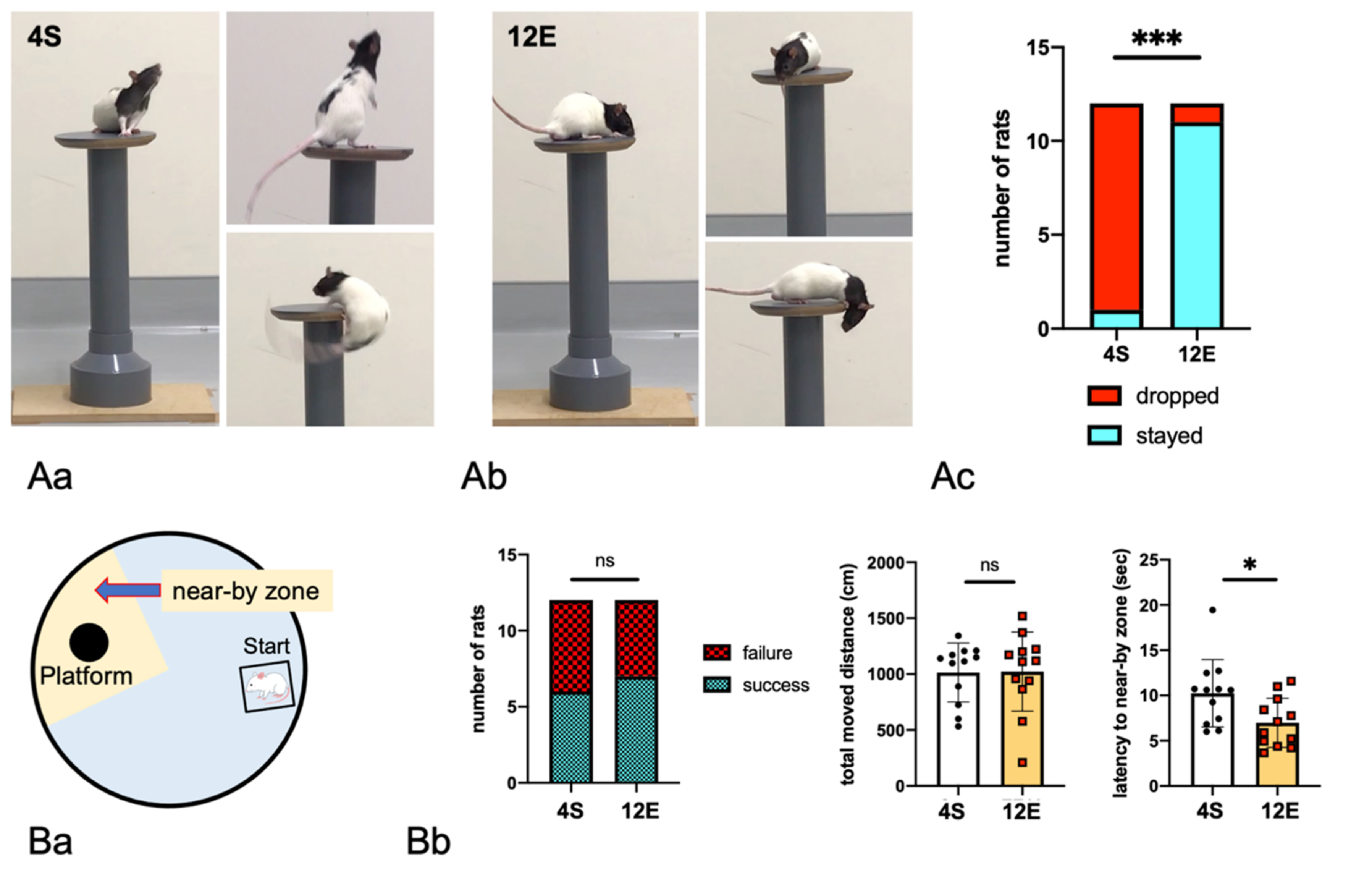 Cells 11 03649 g002a Cells 11 03649 g002a