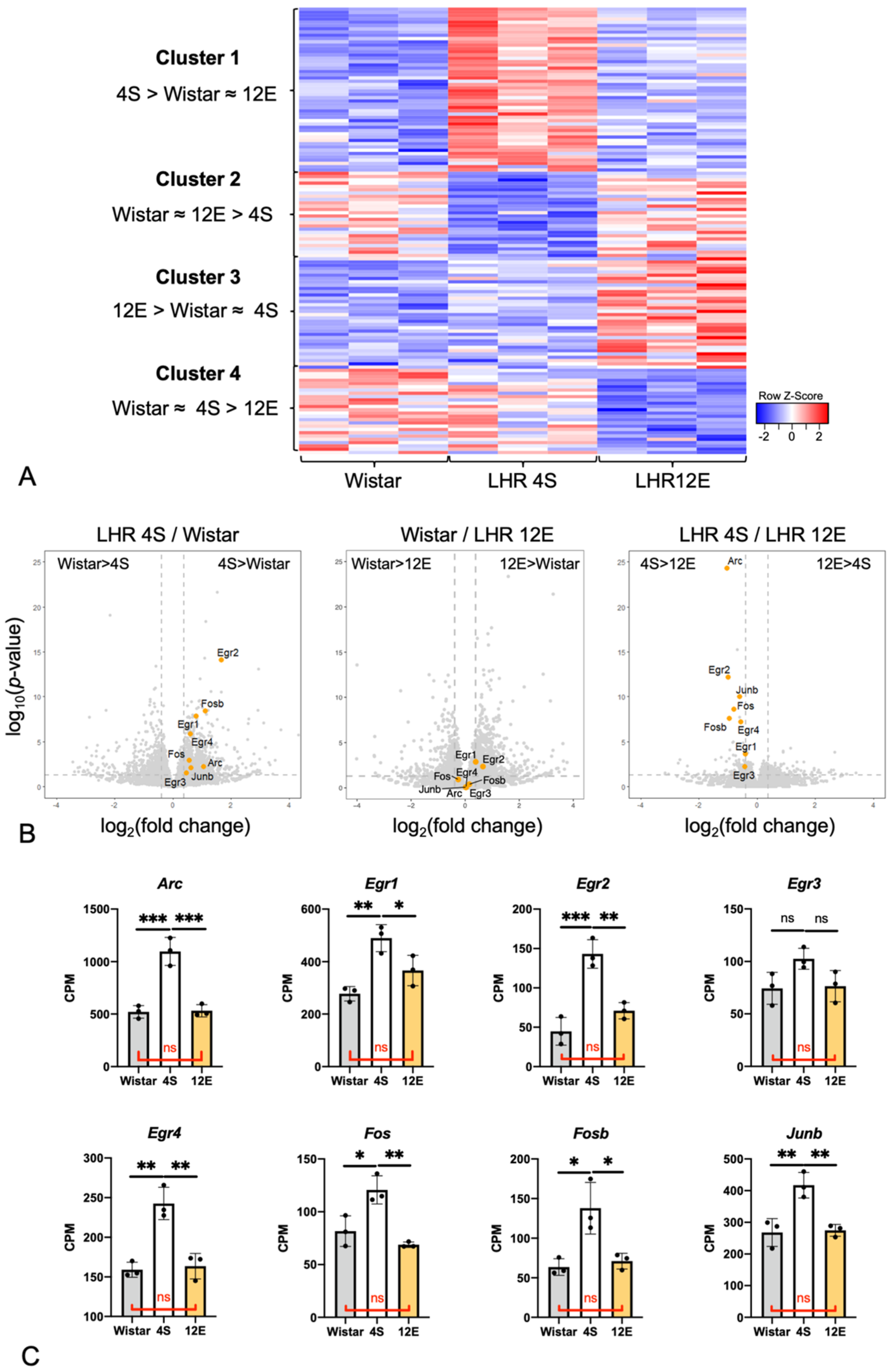 Cells 11 03649 g005 Cells 11 03649 g005