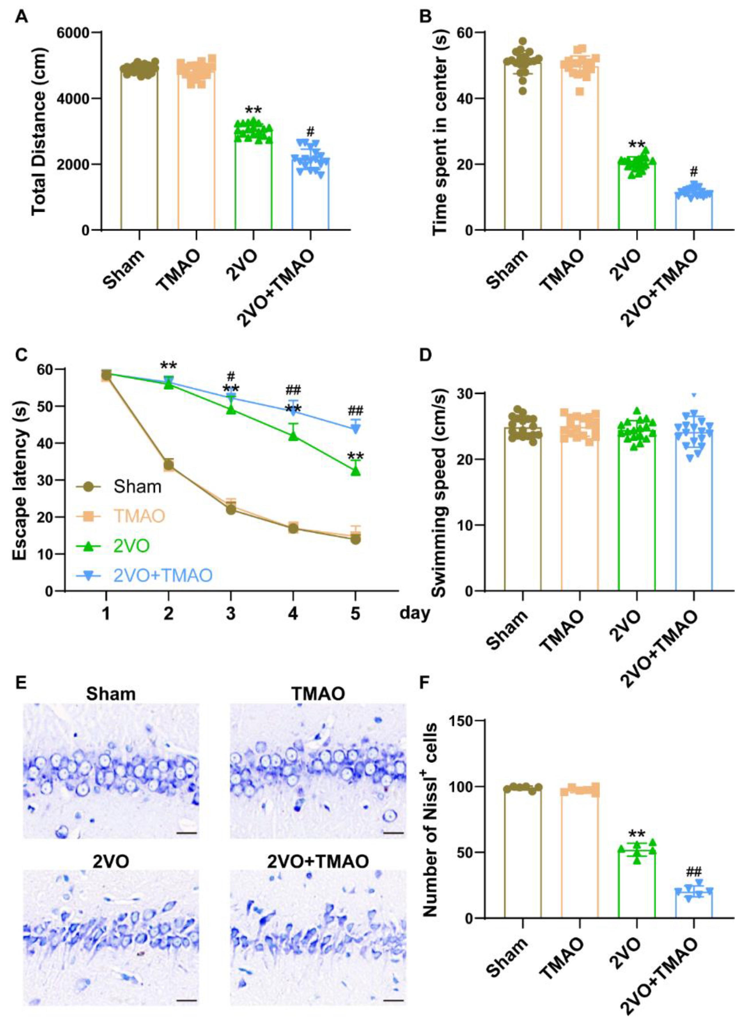 Cells 11 03650 g002 550