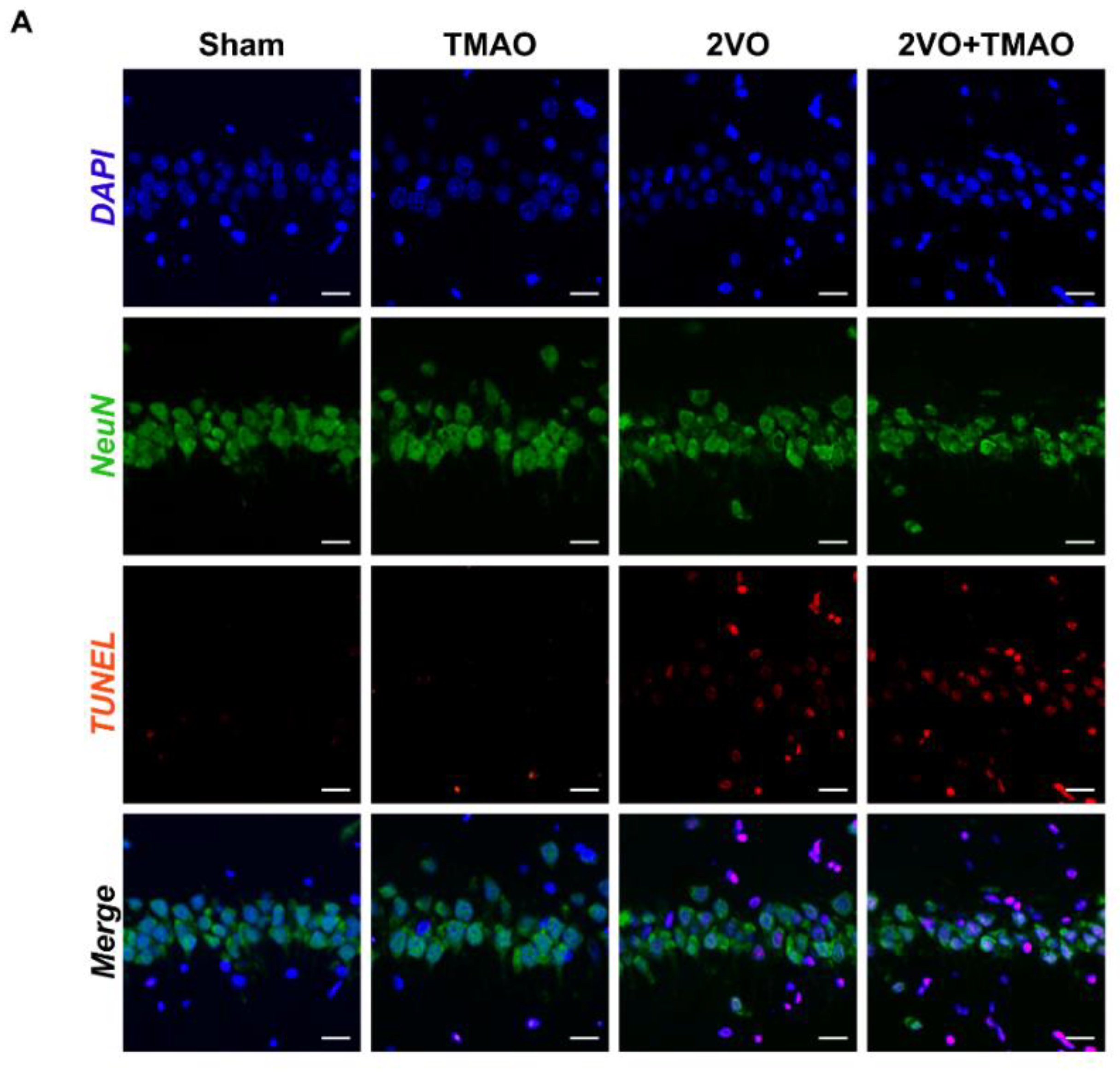Cells 11 03650 g004a 550
