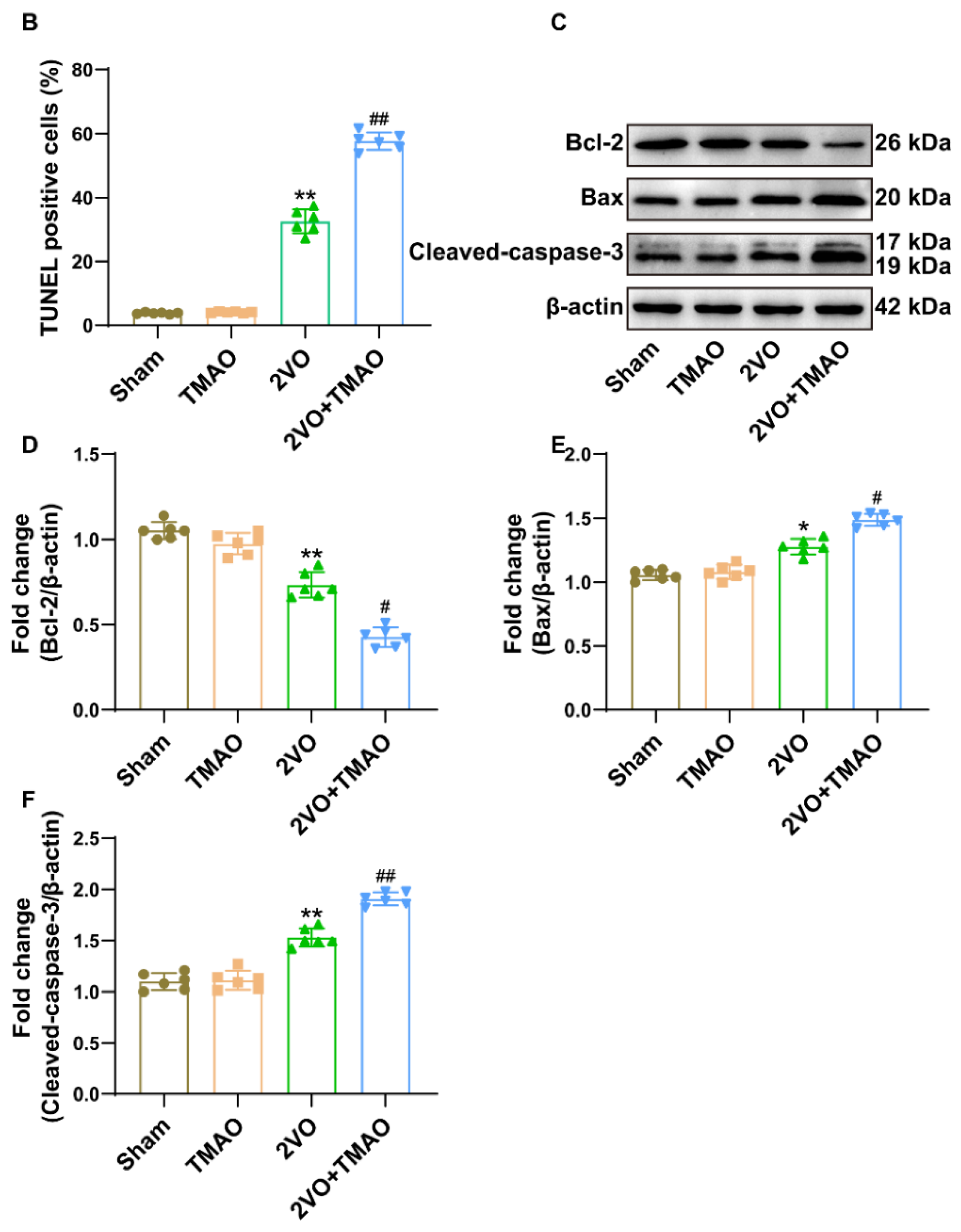 Cells 11 03650 g004b 550