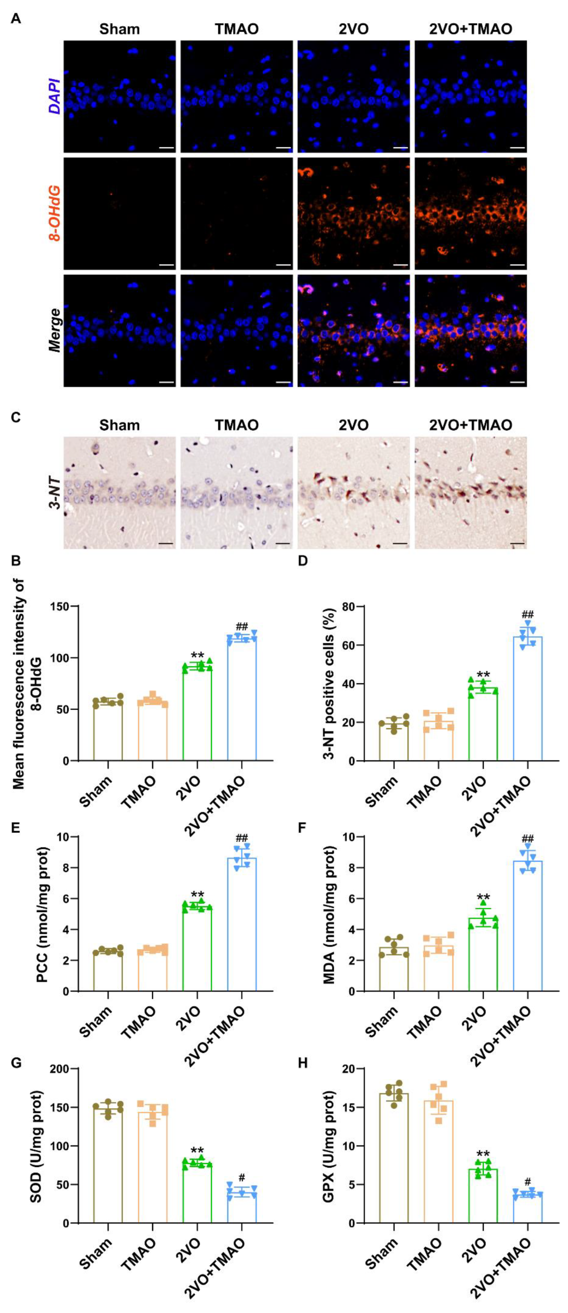 Cells 11 03650 g005 550