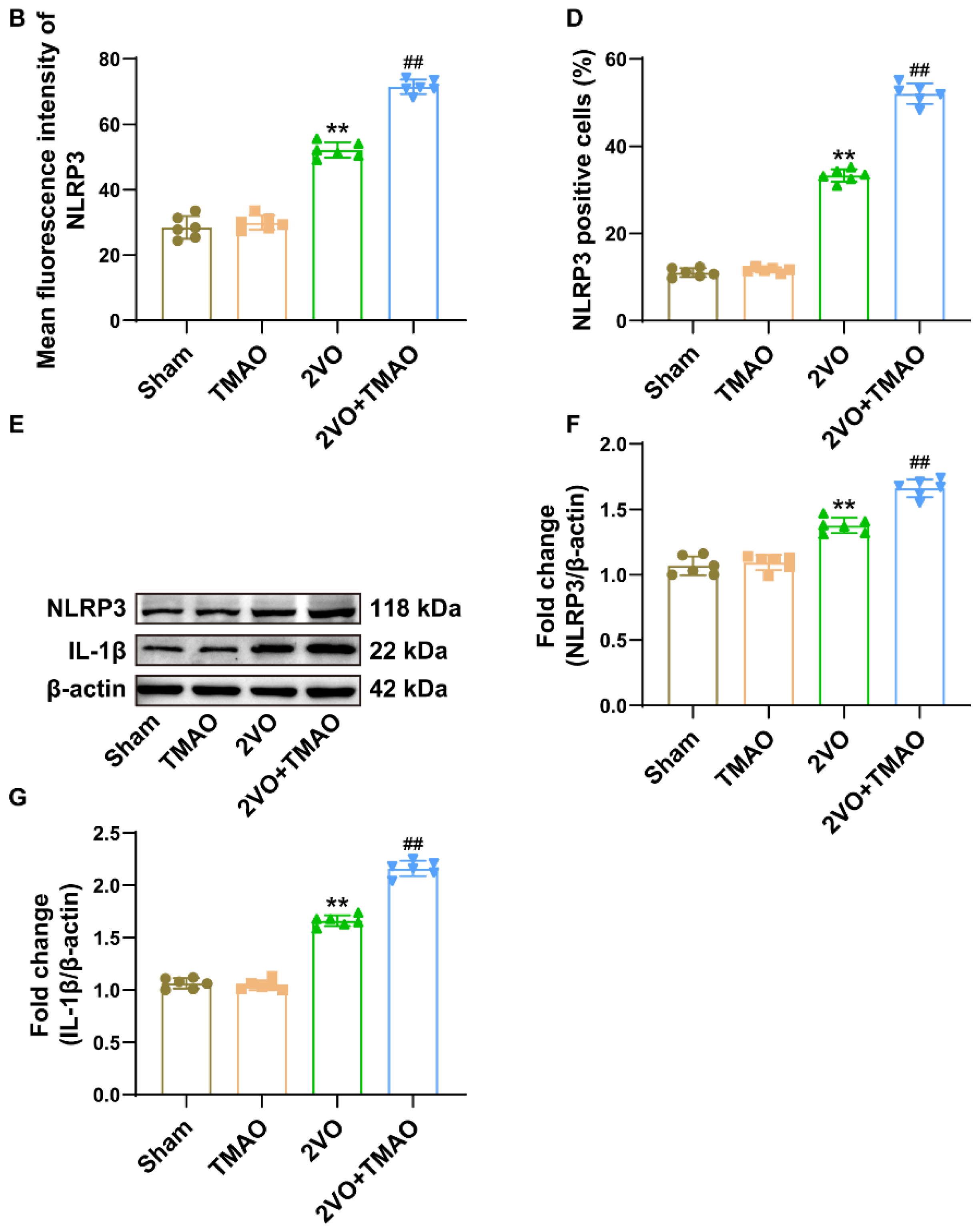 Cells 11 03650 g006b 550