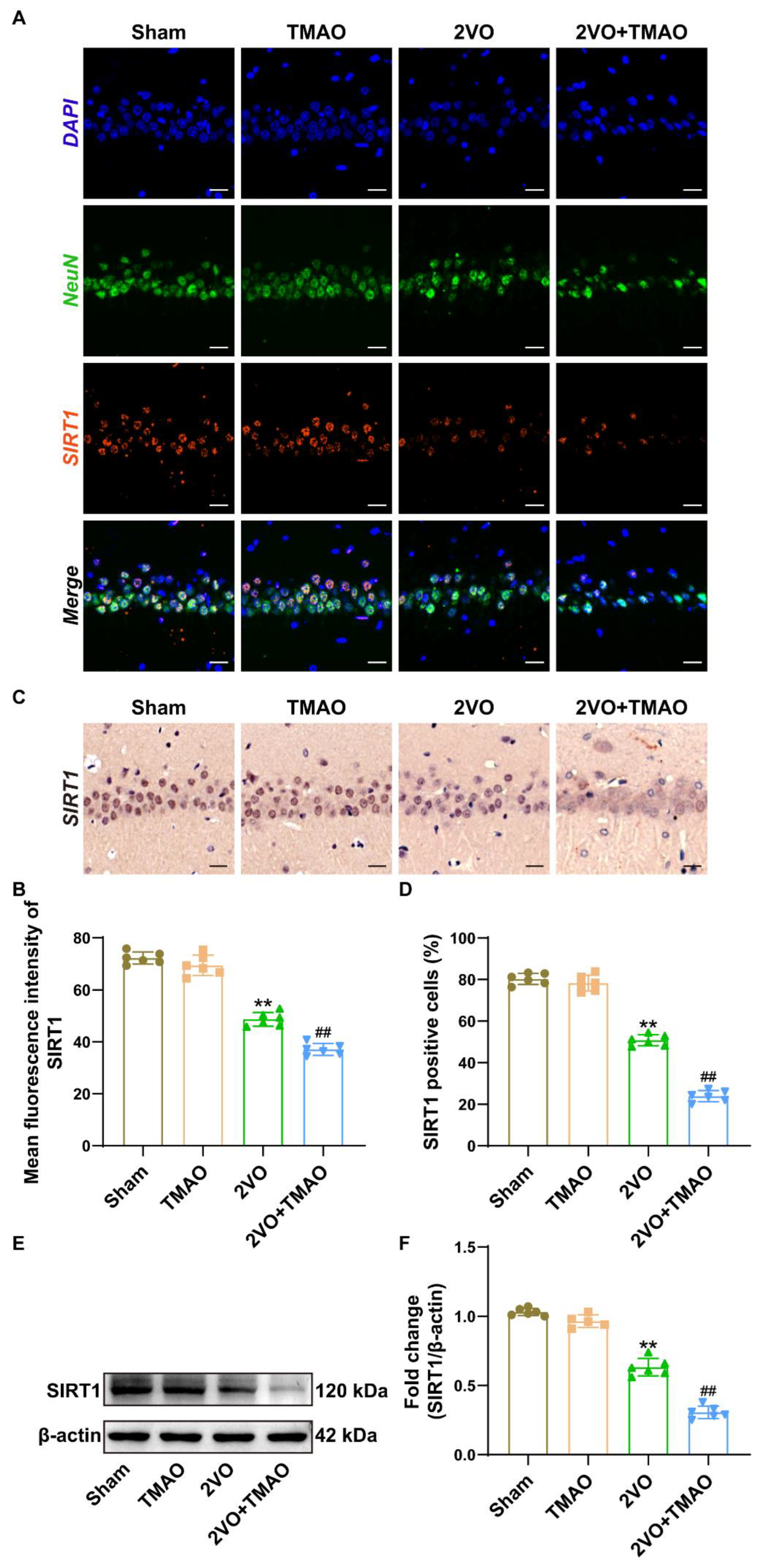 Cells 11 03650 g007 550