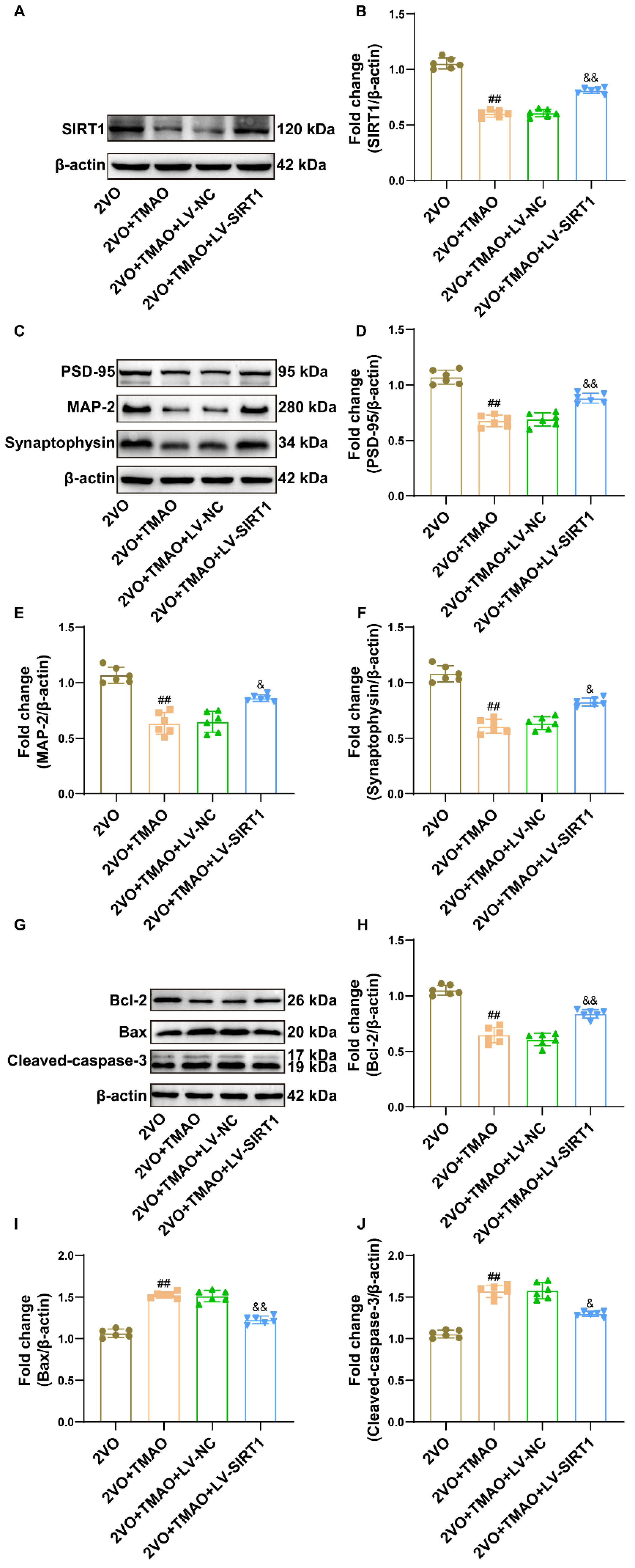 Cells 11 03650 g008 550