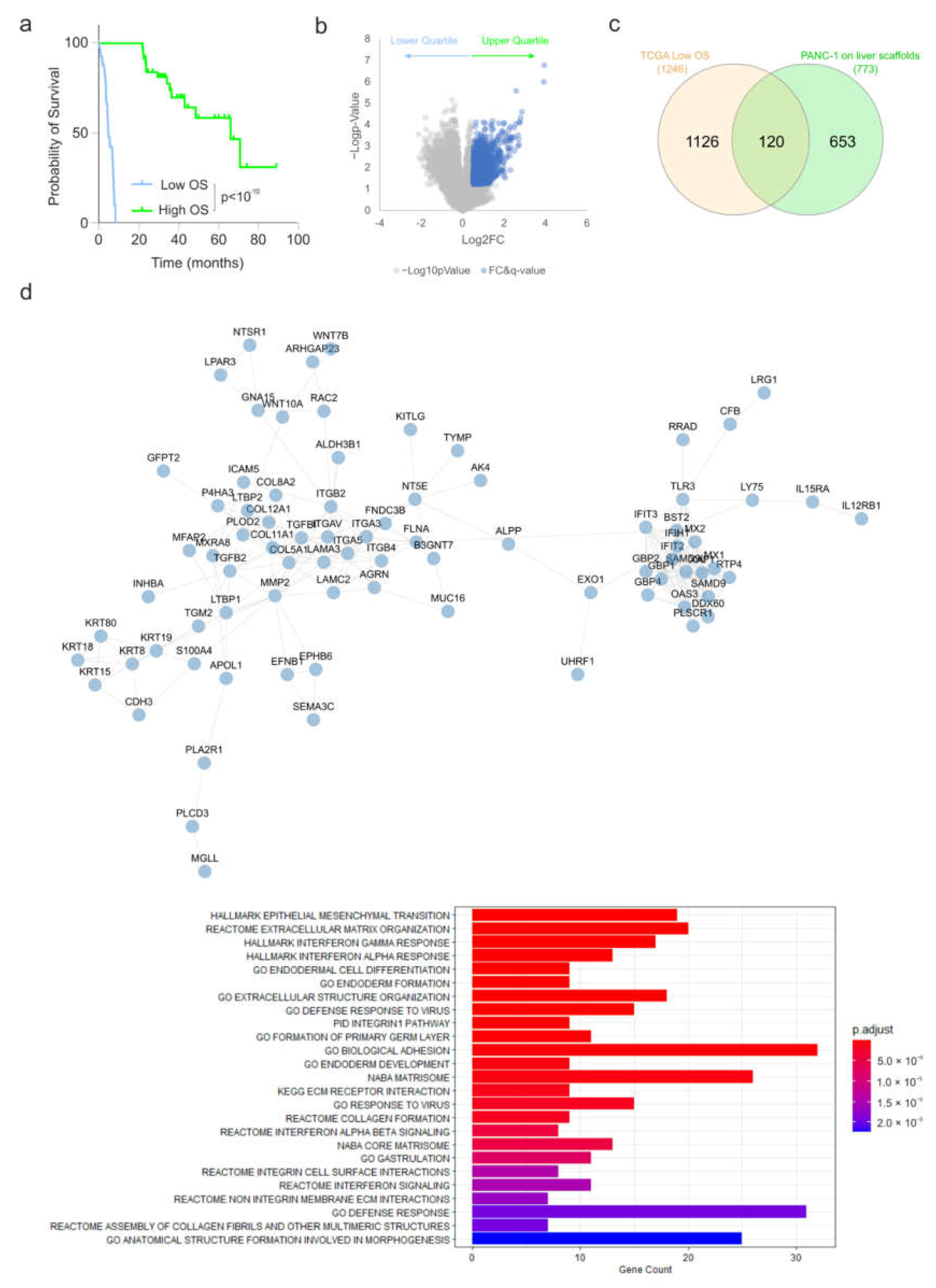 Cells 11 03652 g003 Cells 11 03652 g003