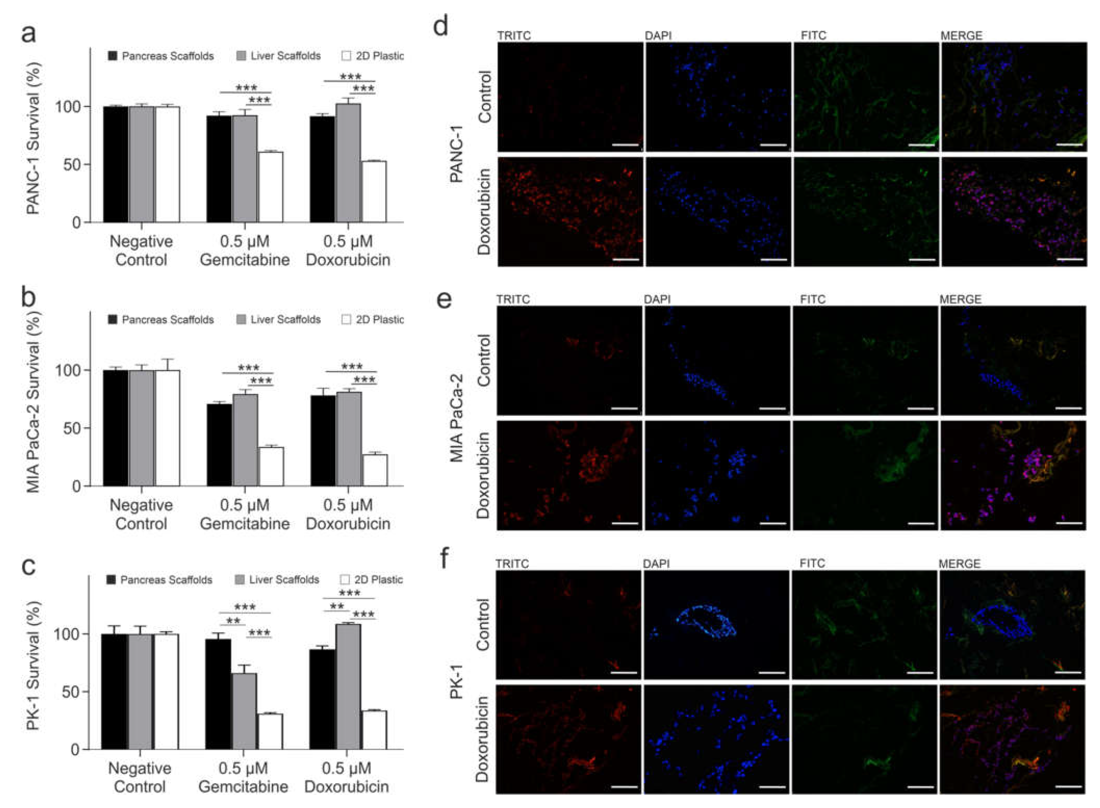 Cells 11 03652 g004 Cells 11 03652 g004