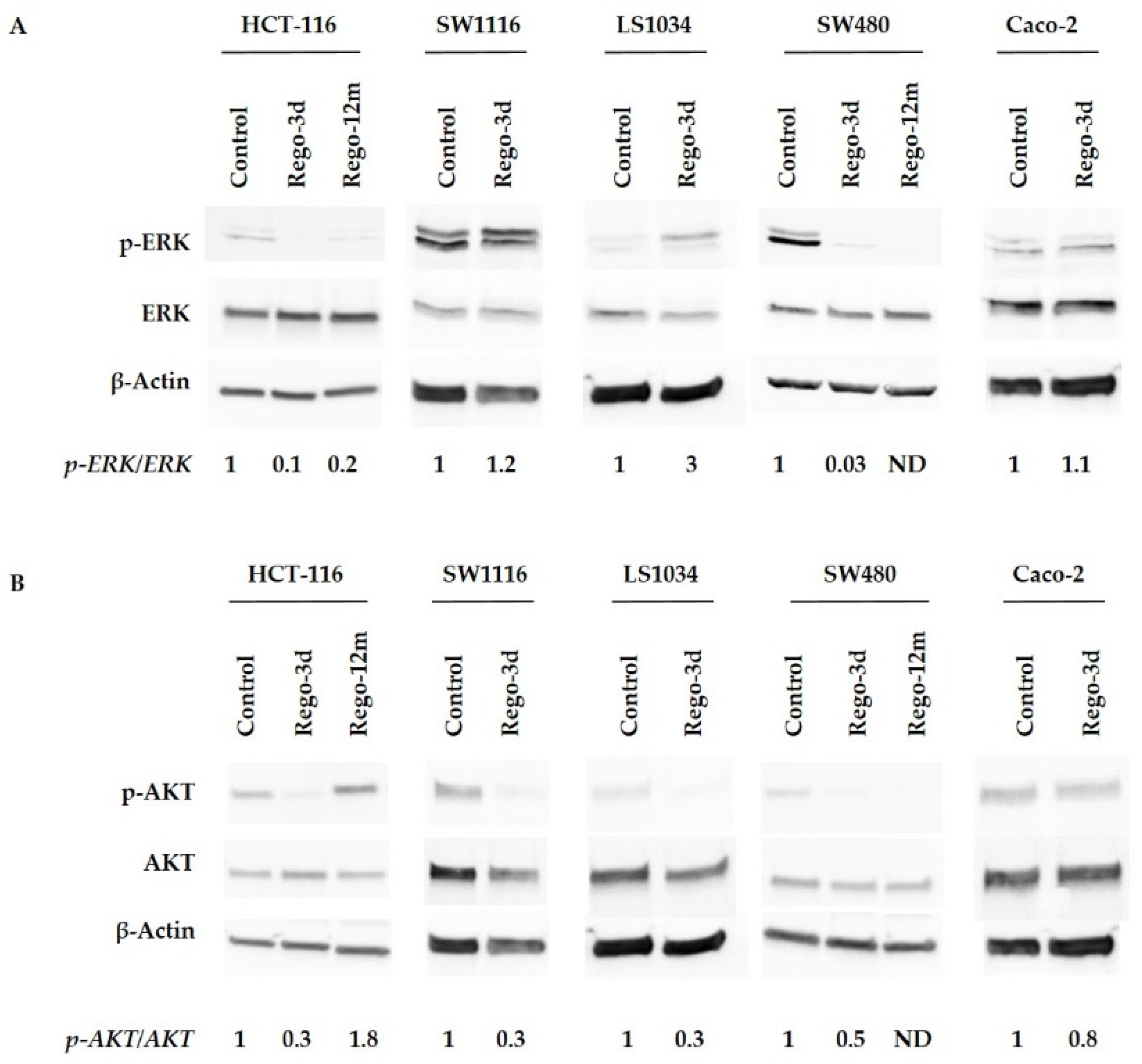 Cells 11 03663 g002 Cells 11 03663 g002