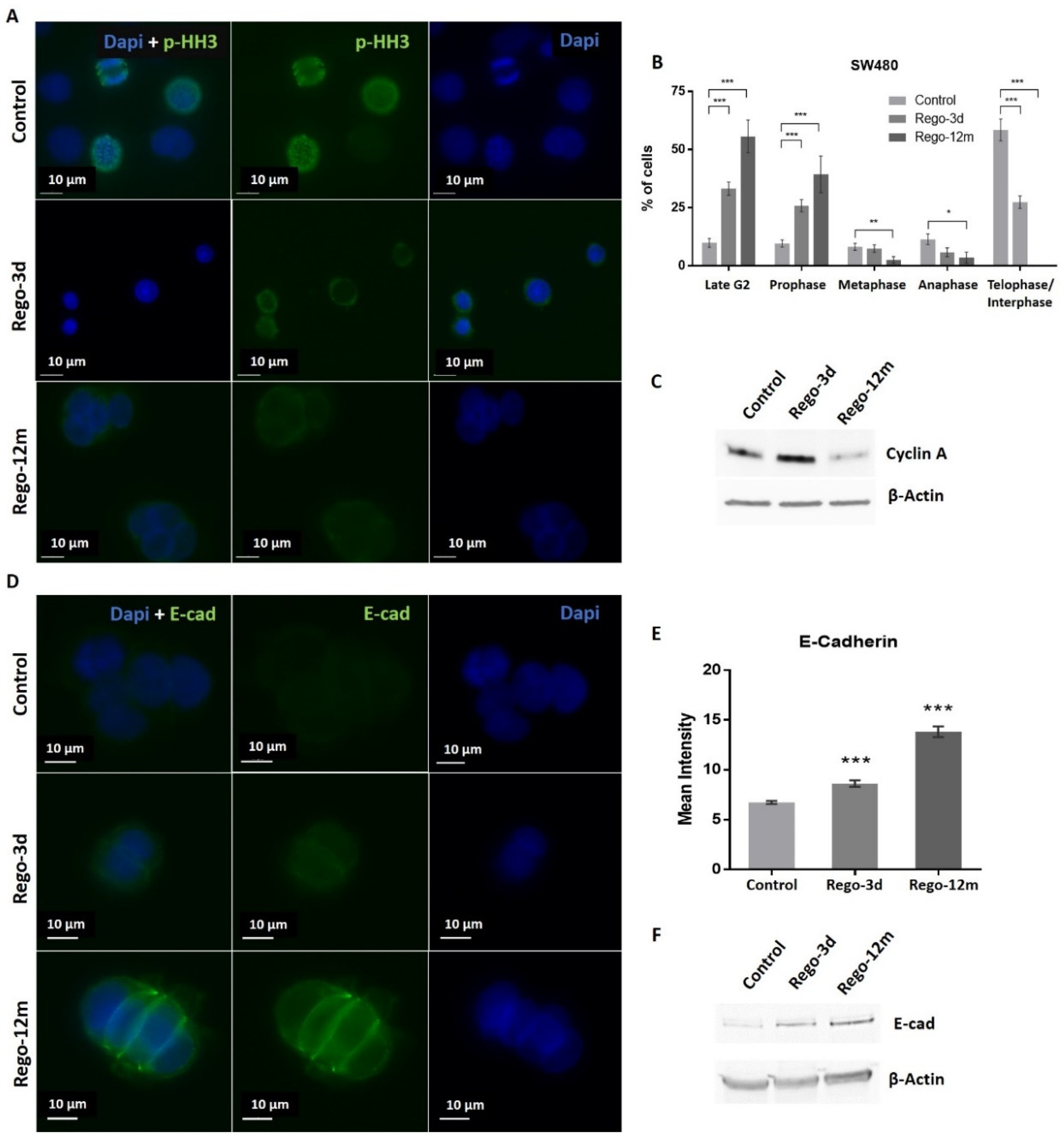 Cells 11 03663 g005 Cells 11 03663 g005