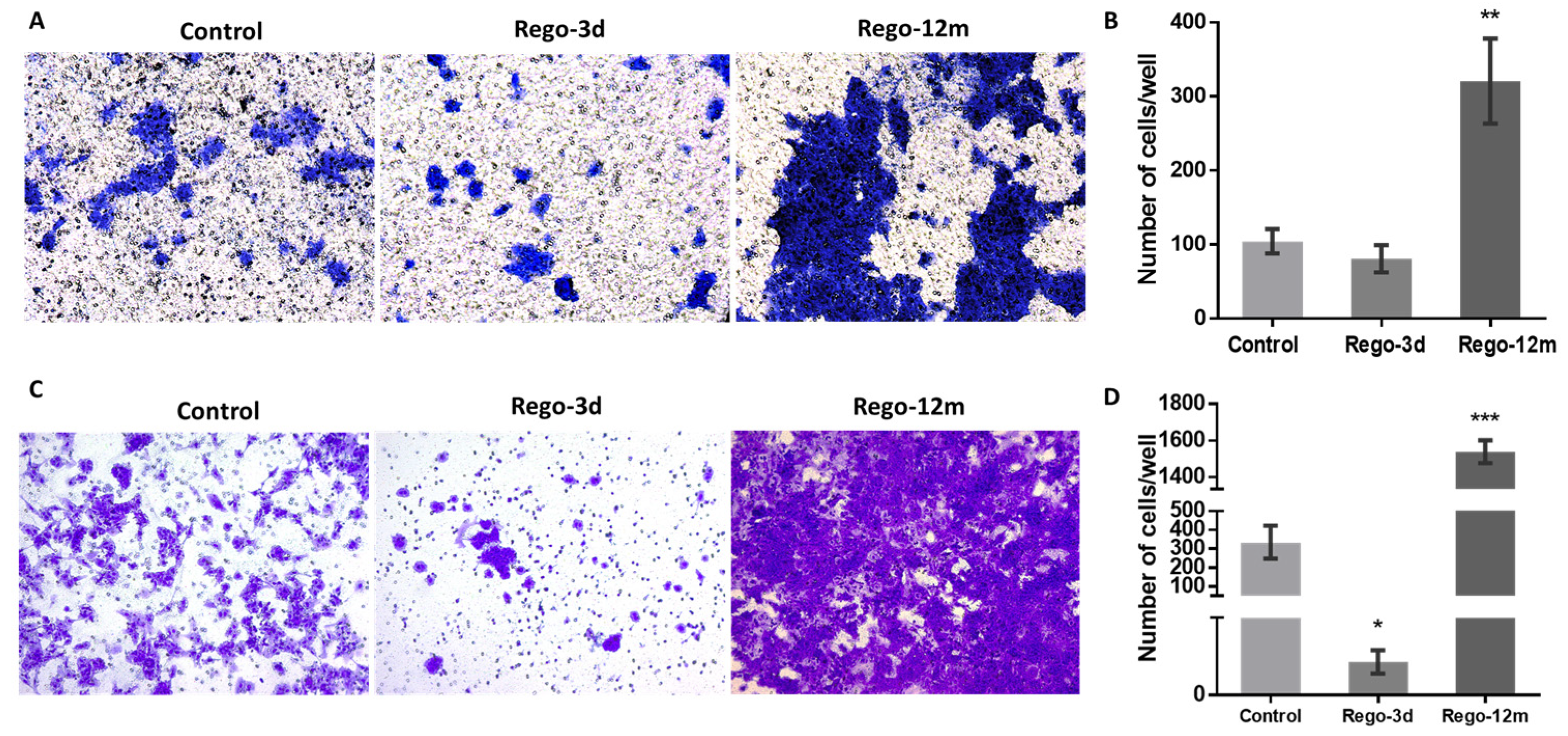 Cells 11 03663 g008 Cells 11 03663 g008